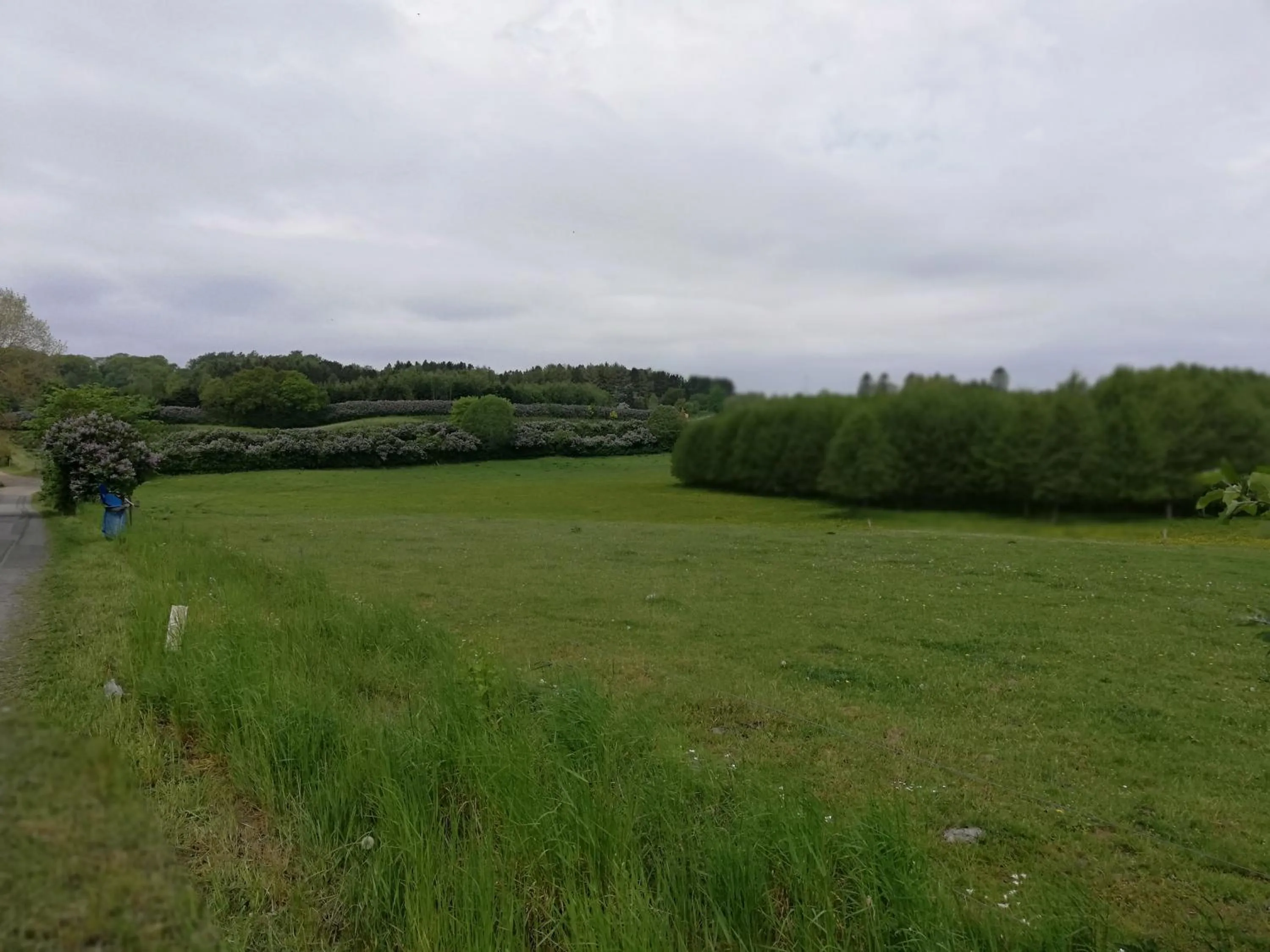 Natural landscape in Baekgaarden B&B