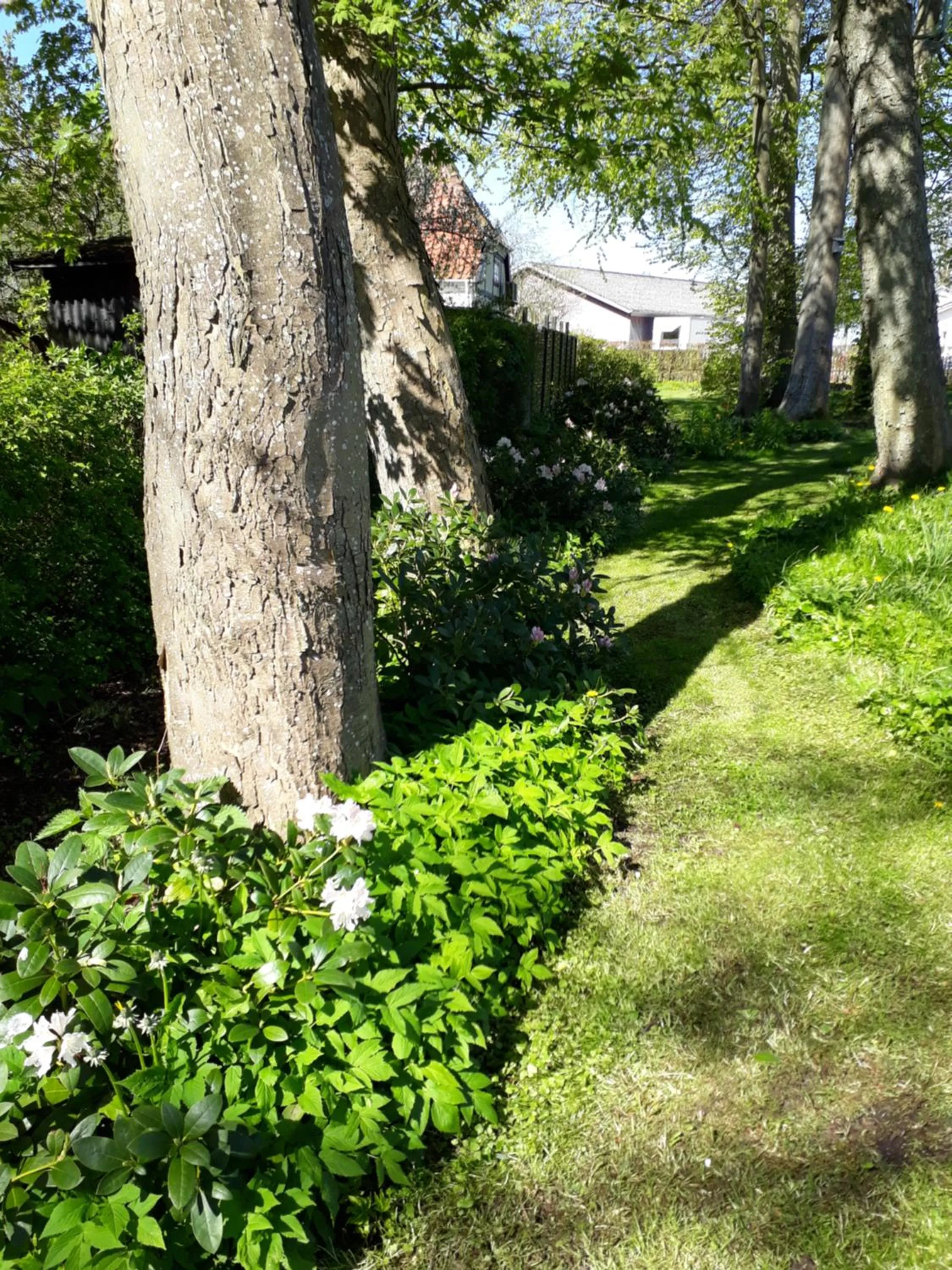 Garden in Baekgaarden B&B