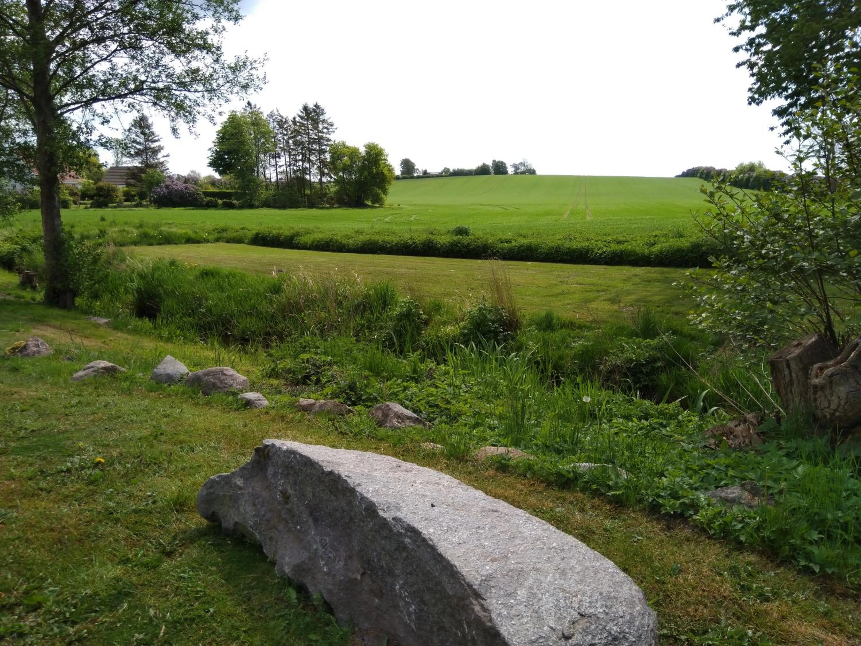 Natural landscape in Baekgaarden B&B