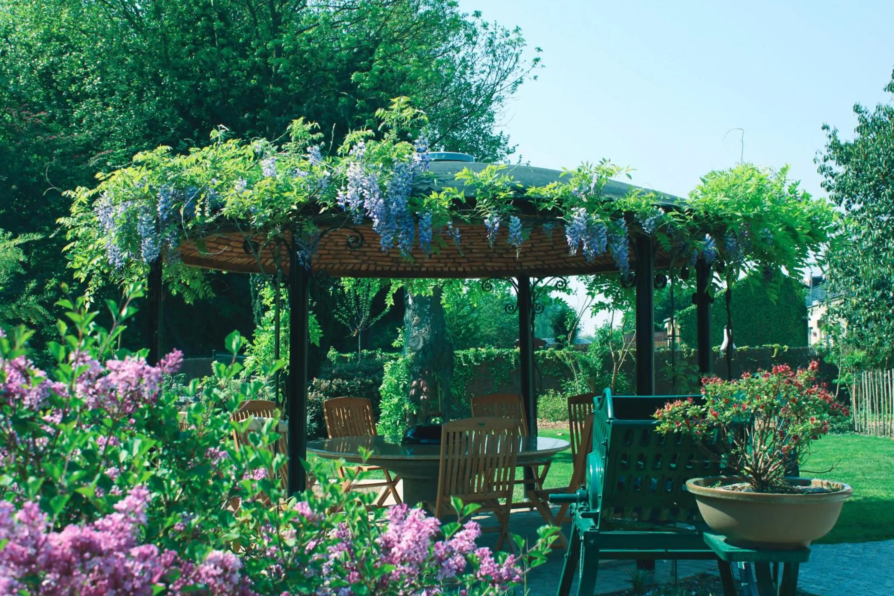 Garden in B&B Wisteria