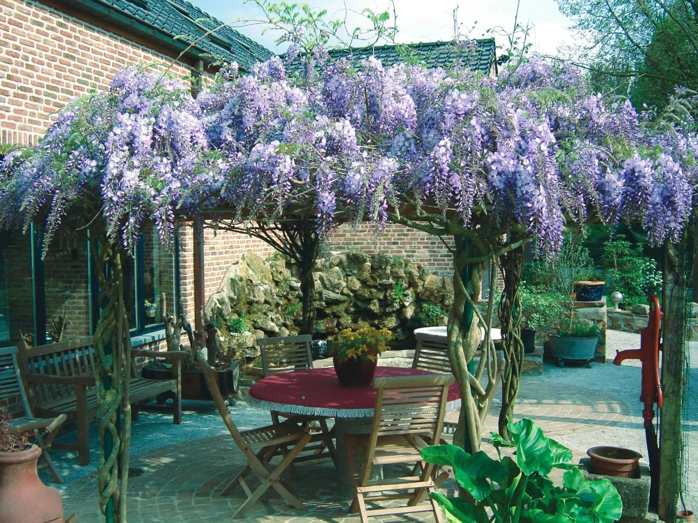 Garden in B&B Wisteria