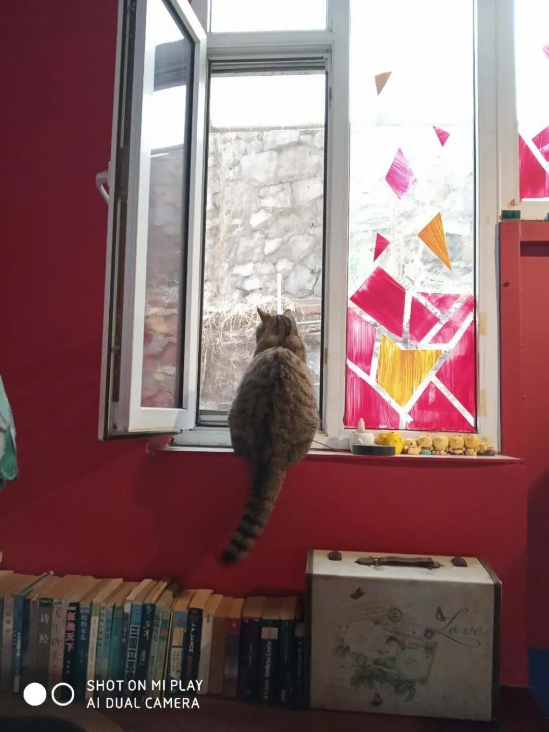 Pets in 大连天天国际青年旅社