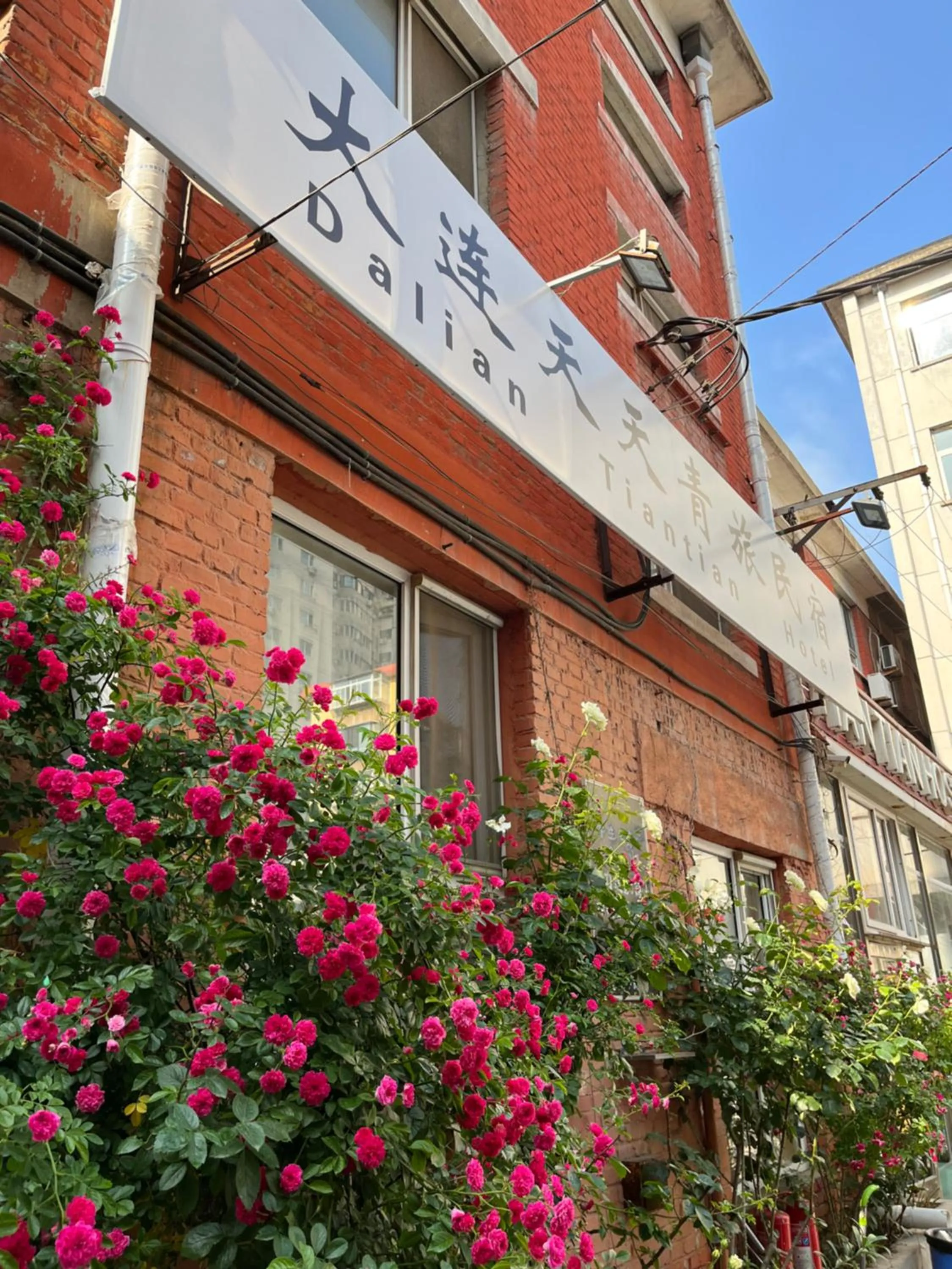 Property building in 大连天天国际青年旅社