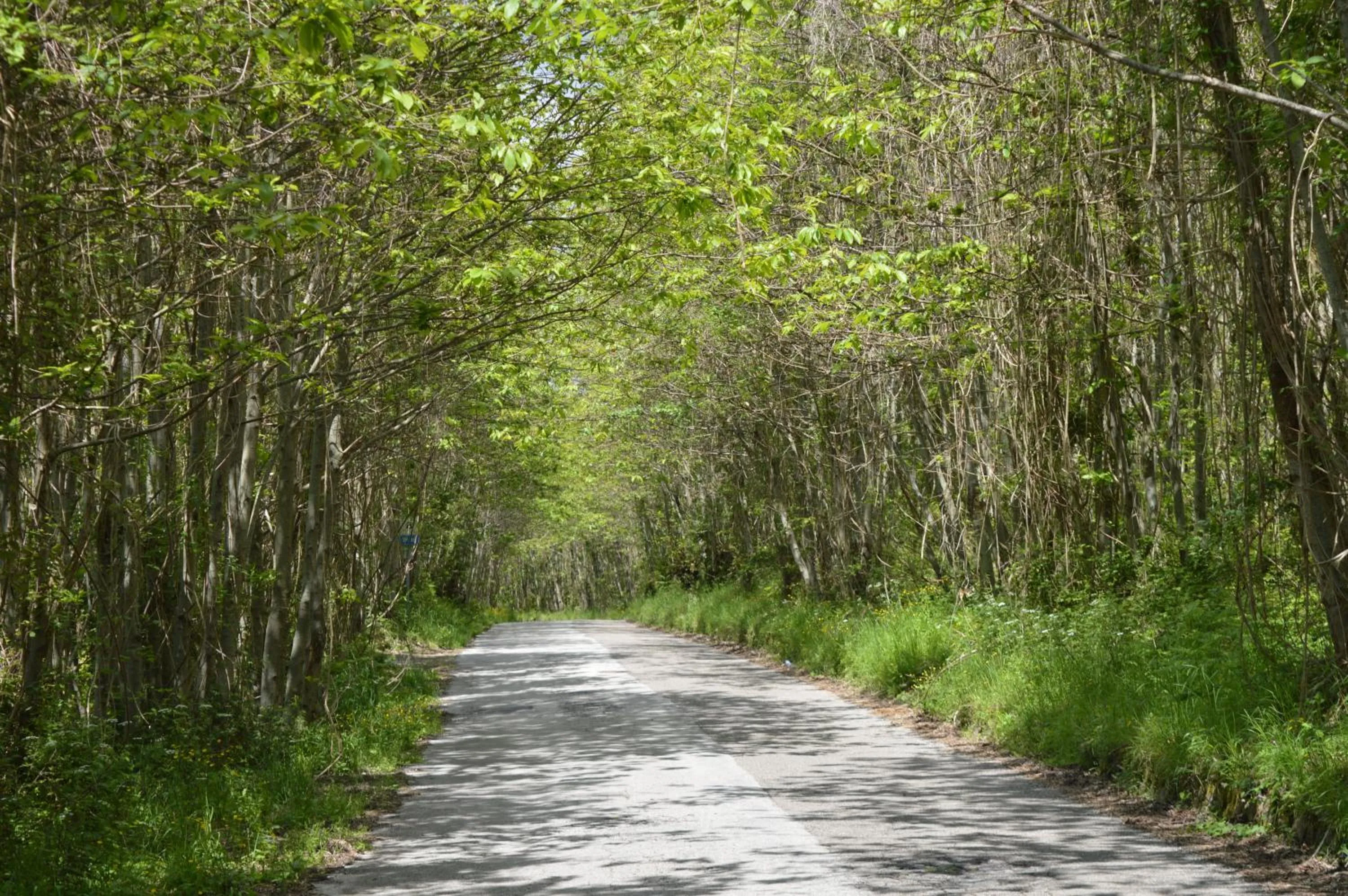 Diving in b&b Don Peppe - Don Ilario