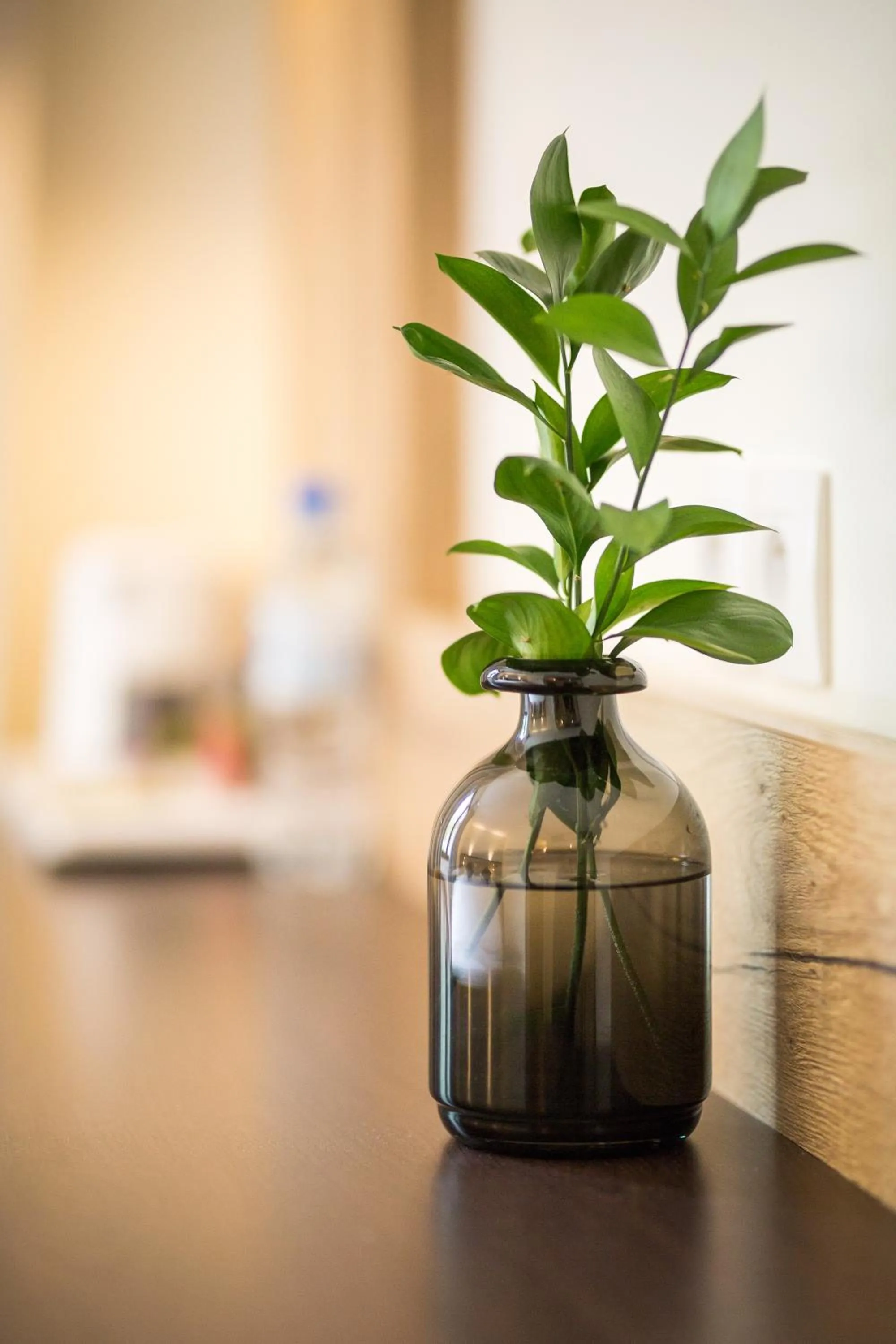 Property building in Best Western Le Bois de la Marche