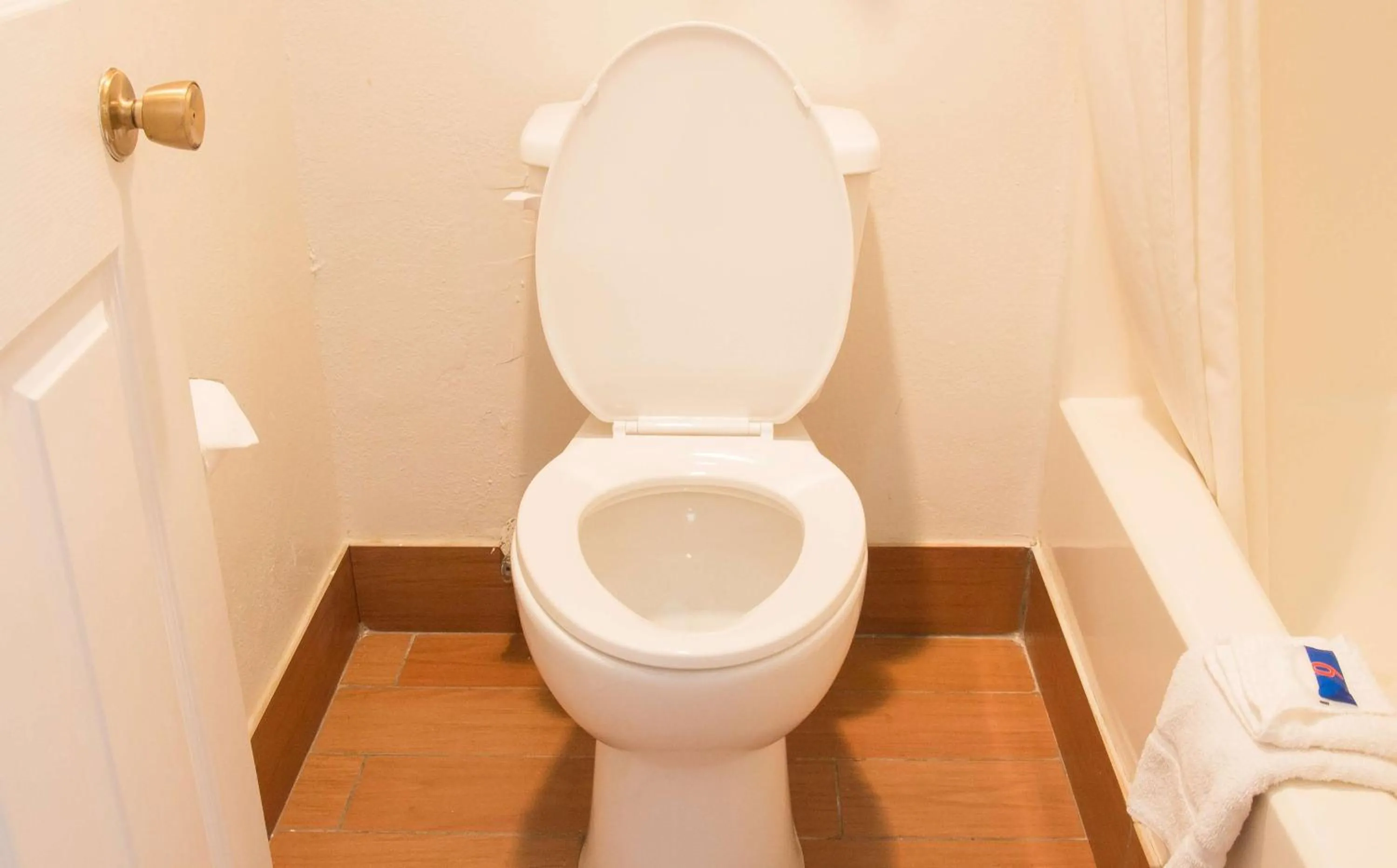 Toilet in Motel 6-Cookeville, TN