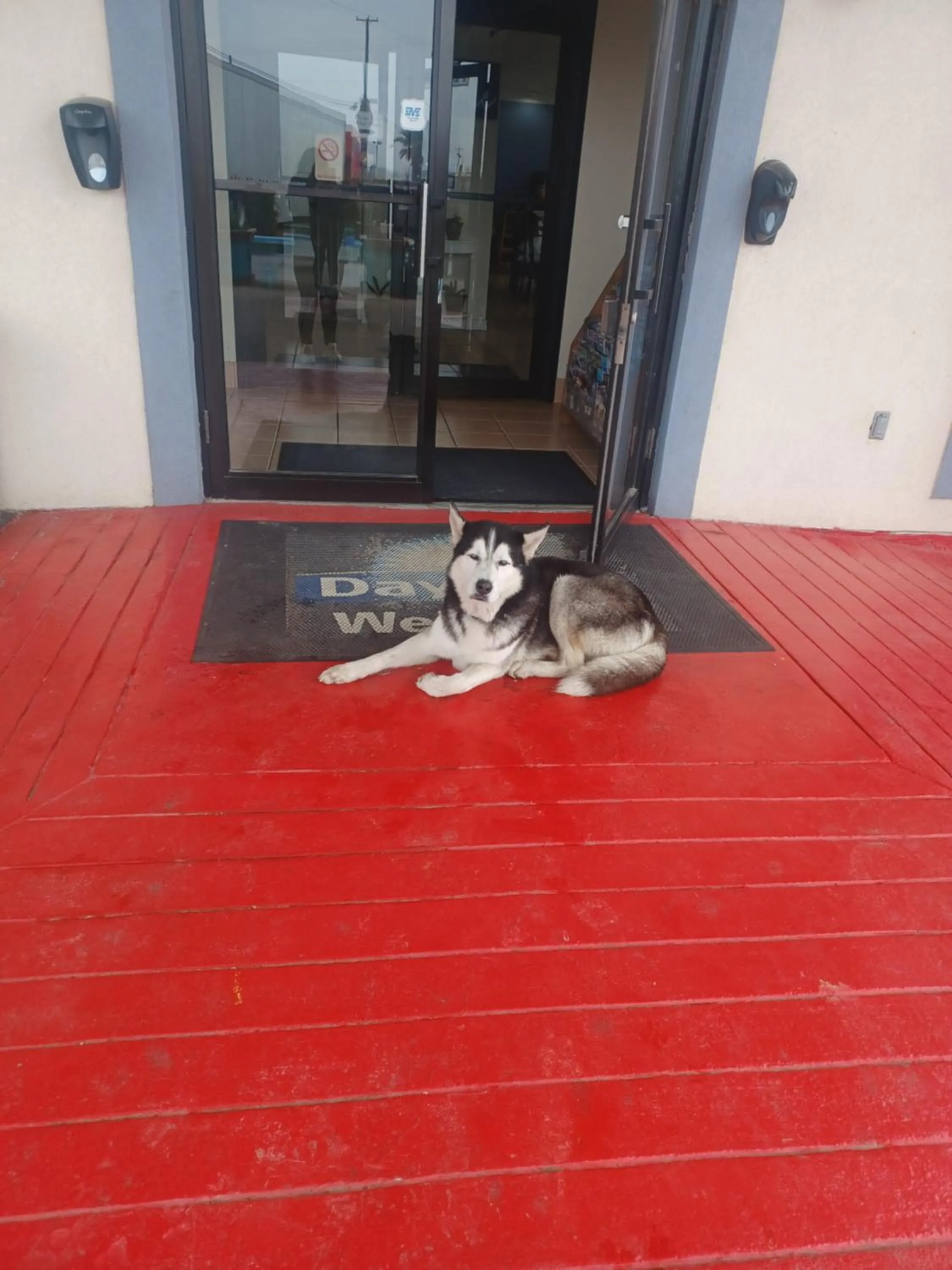 Animals in Days Inn & Suites by Wyndham Braunig Lake