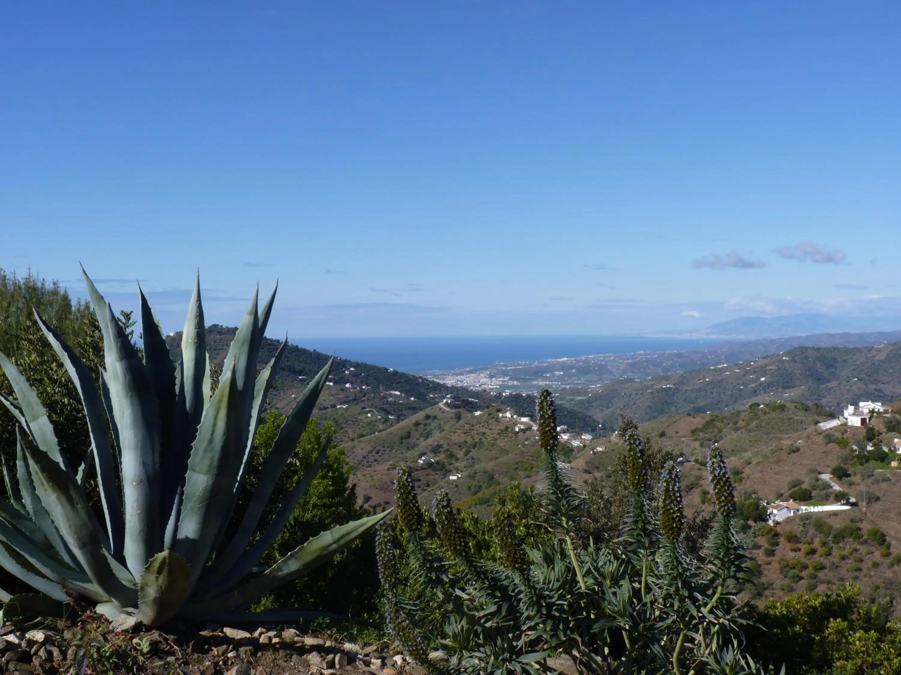 View (from property/room) in B&B la Madrugada