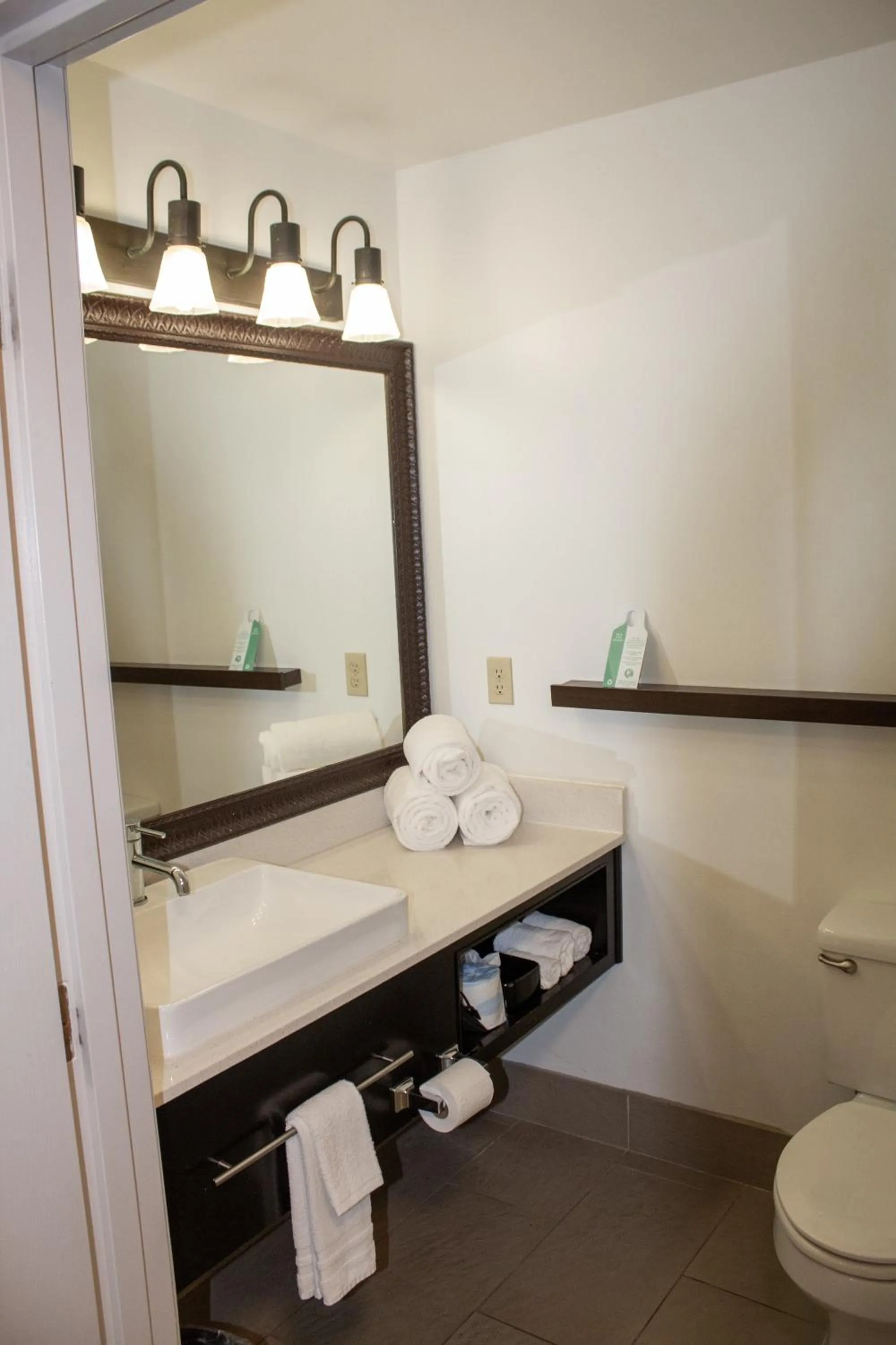 Country Inn & Suites by Radisson, Big Rapids, MI