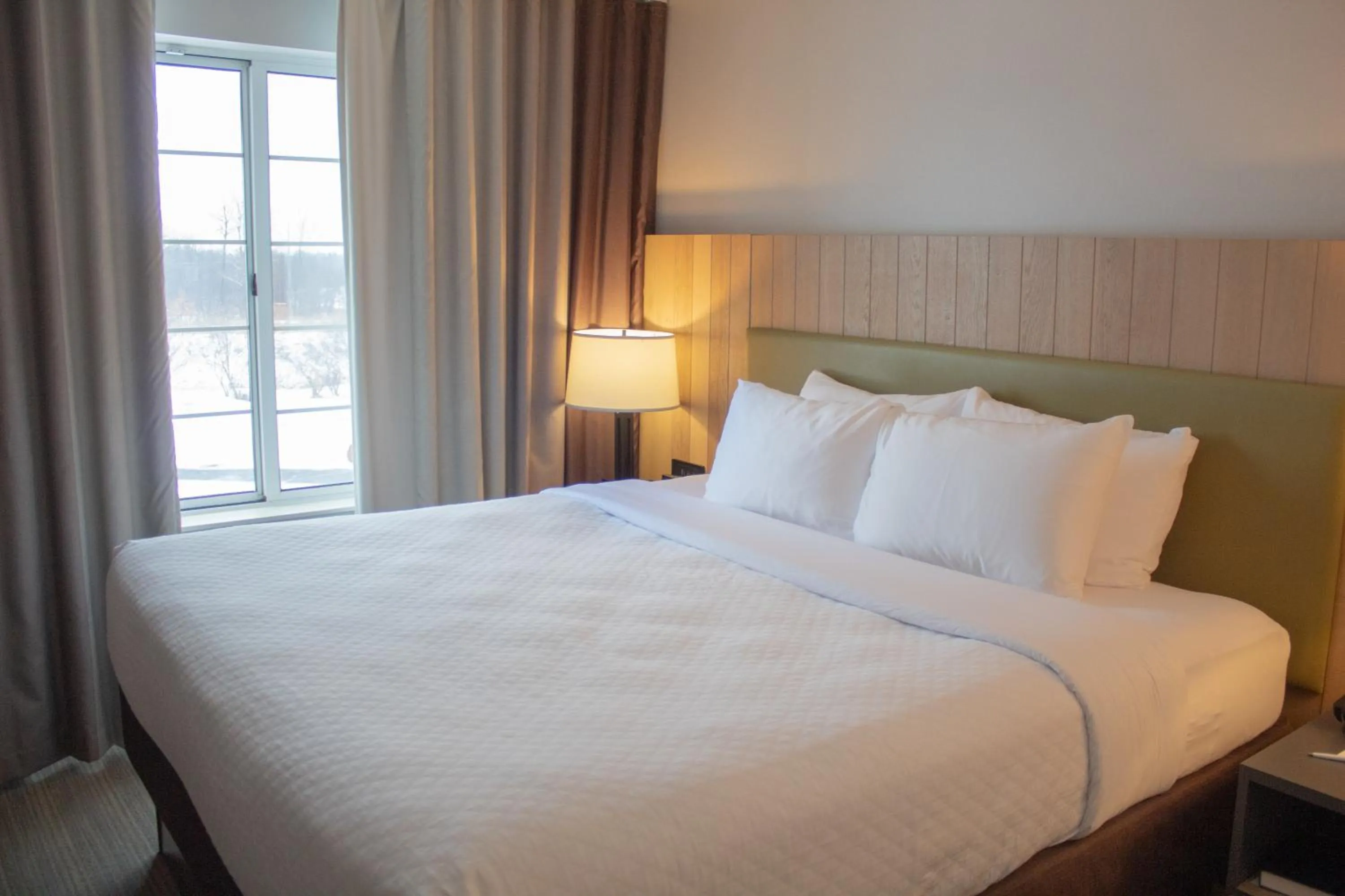 Country Inn & Suites by Radisson, Big Rapids, MI