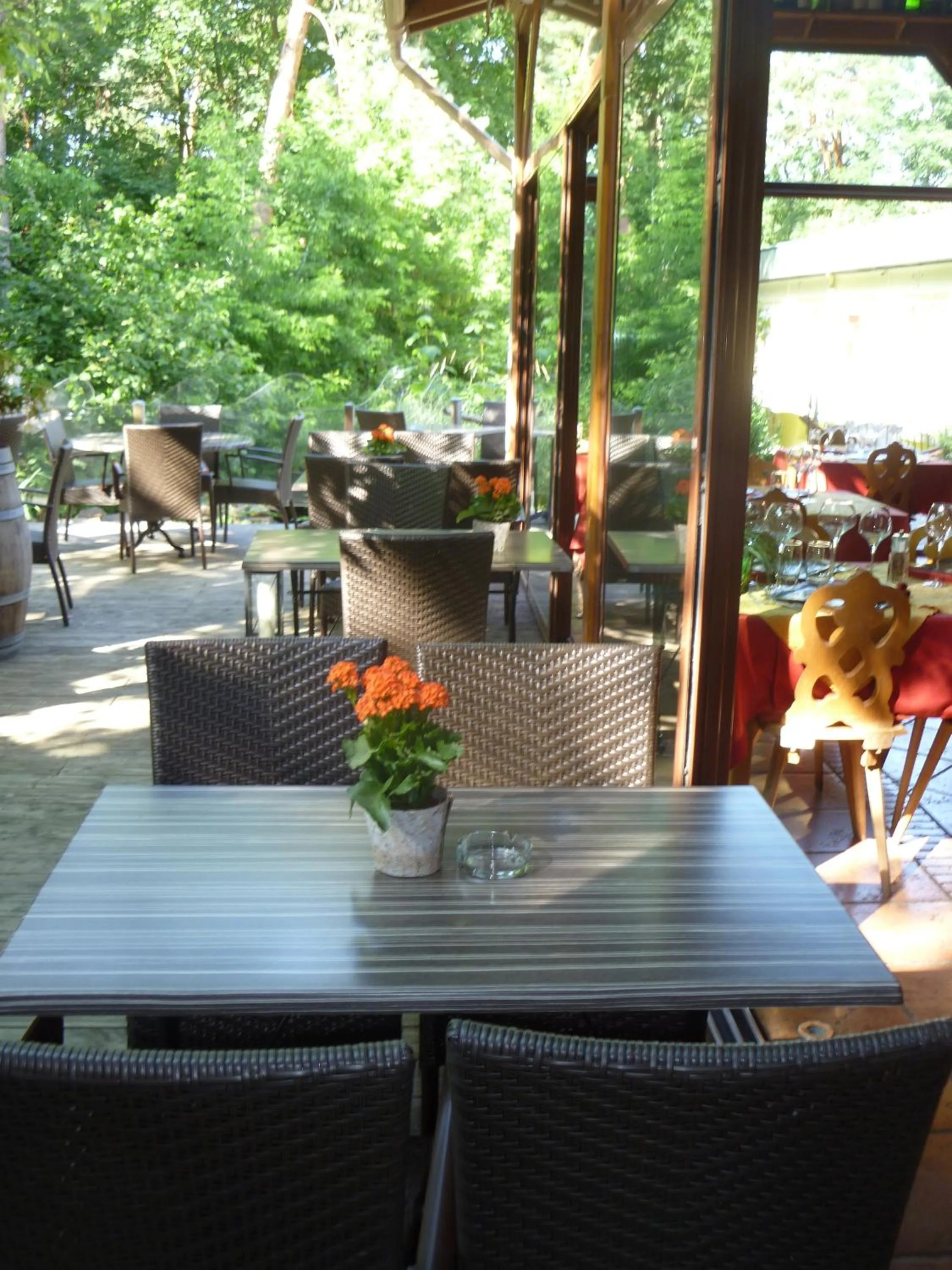 Patio in Hotel Restaurant Les Pins logis