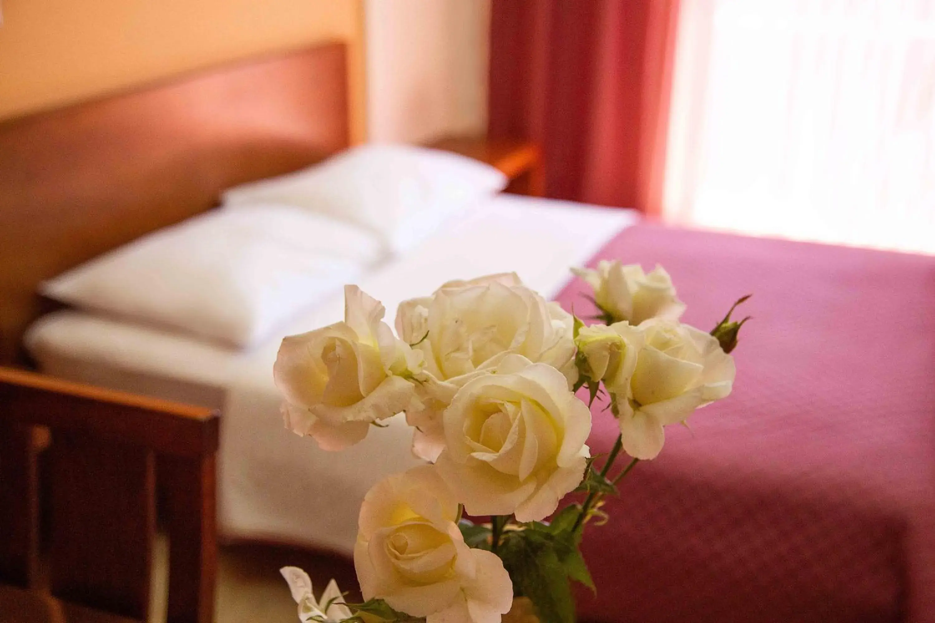 Double Room - single occupancy in Hotel Giorgio Double Room - single occupancy in Hotel Giorgio