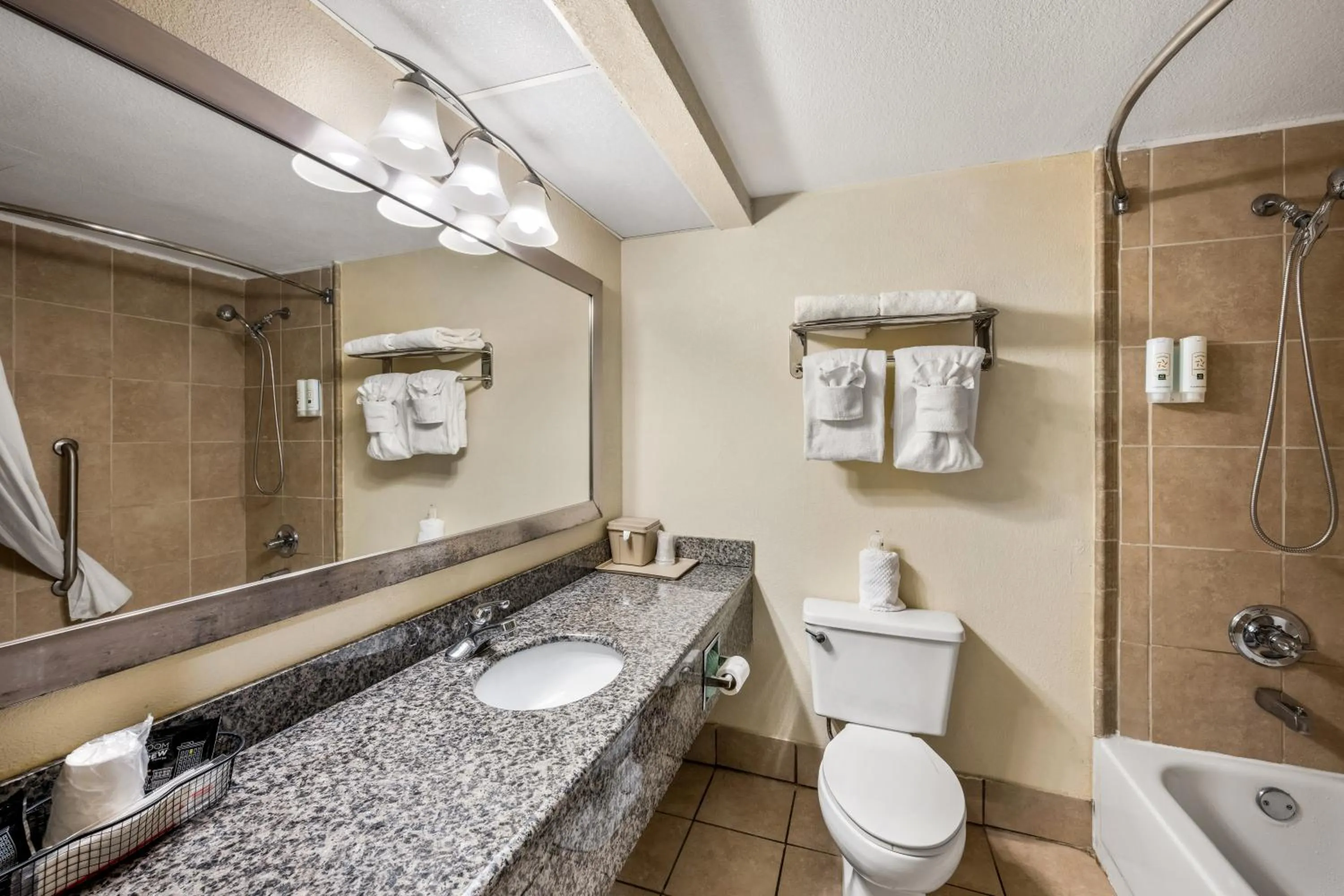 Shower in Quality Inn Bulls Gap