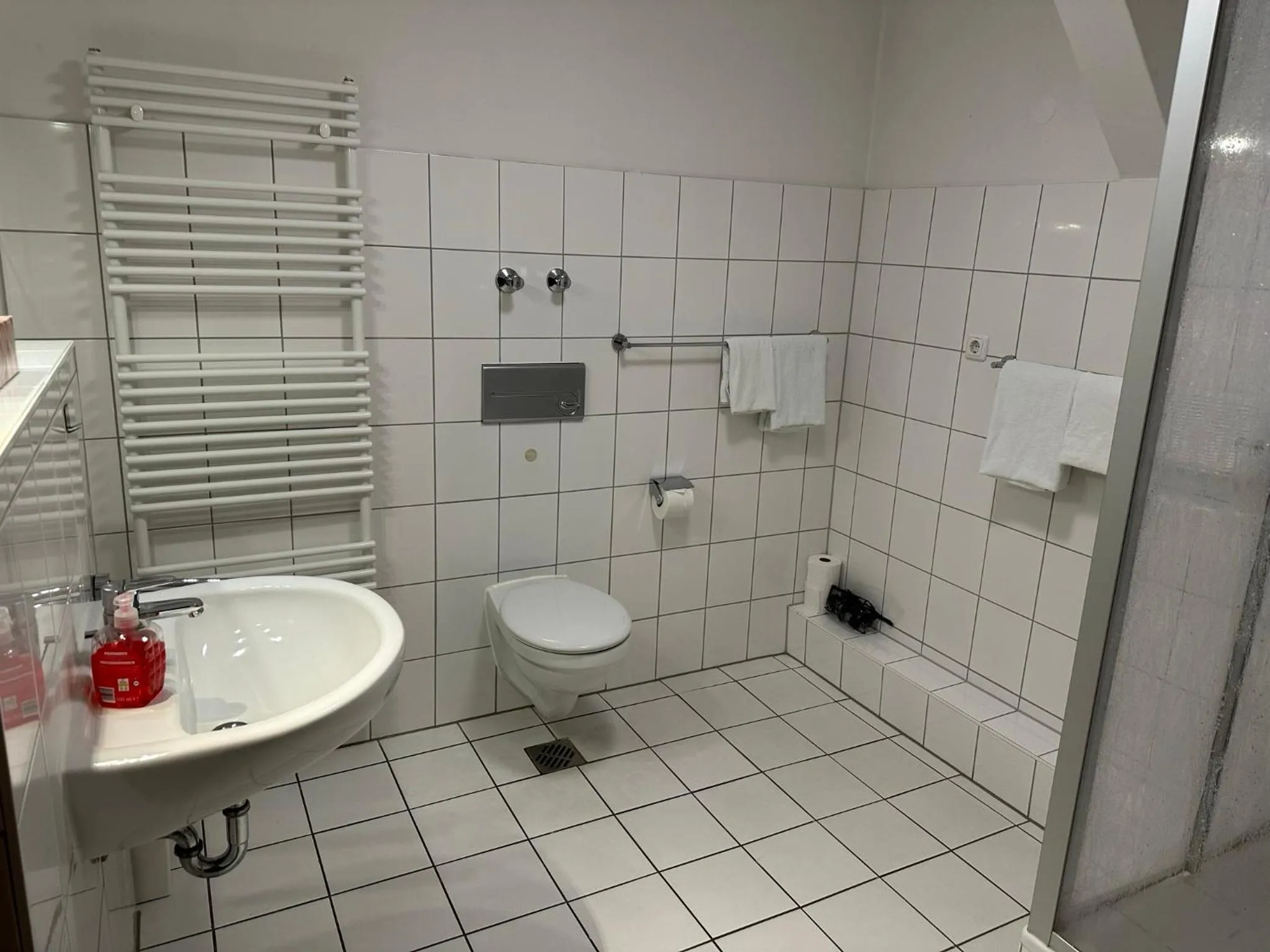 Shower in Hotel zum Grafen Hallermunt