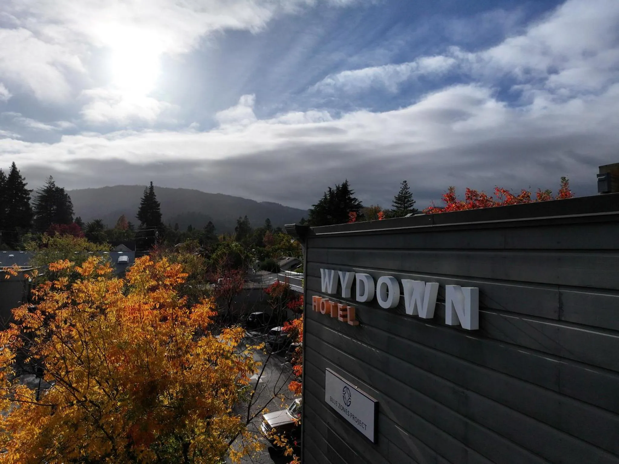 View (from property/room) in Wydown Hotel