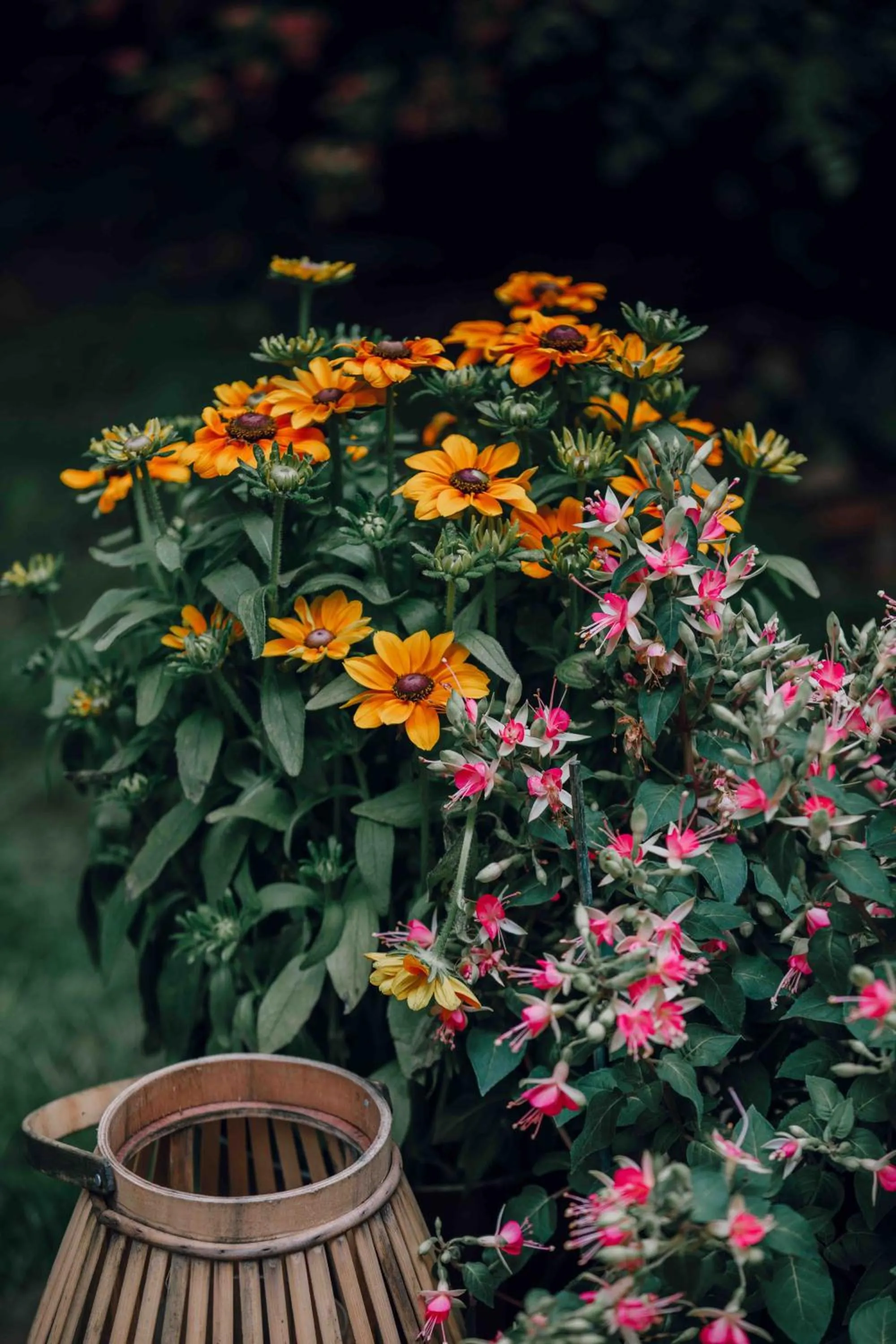 Garden in PEPPER & PAPER Apartments