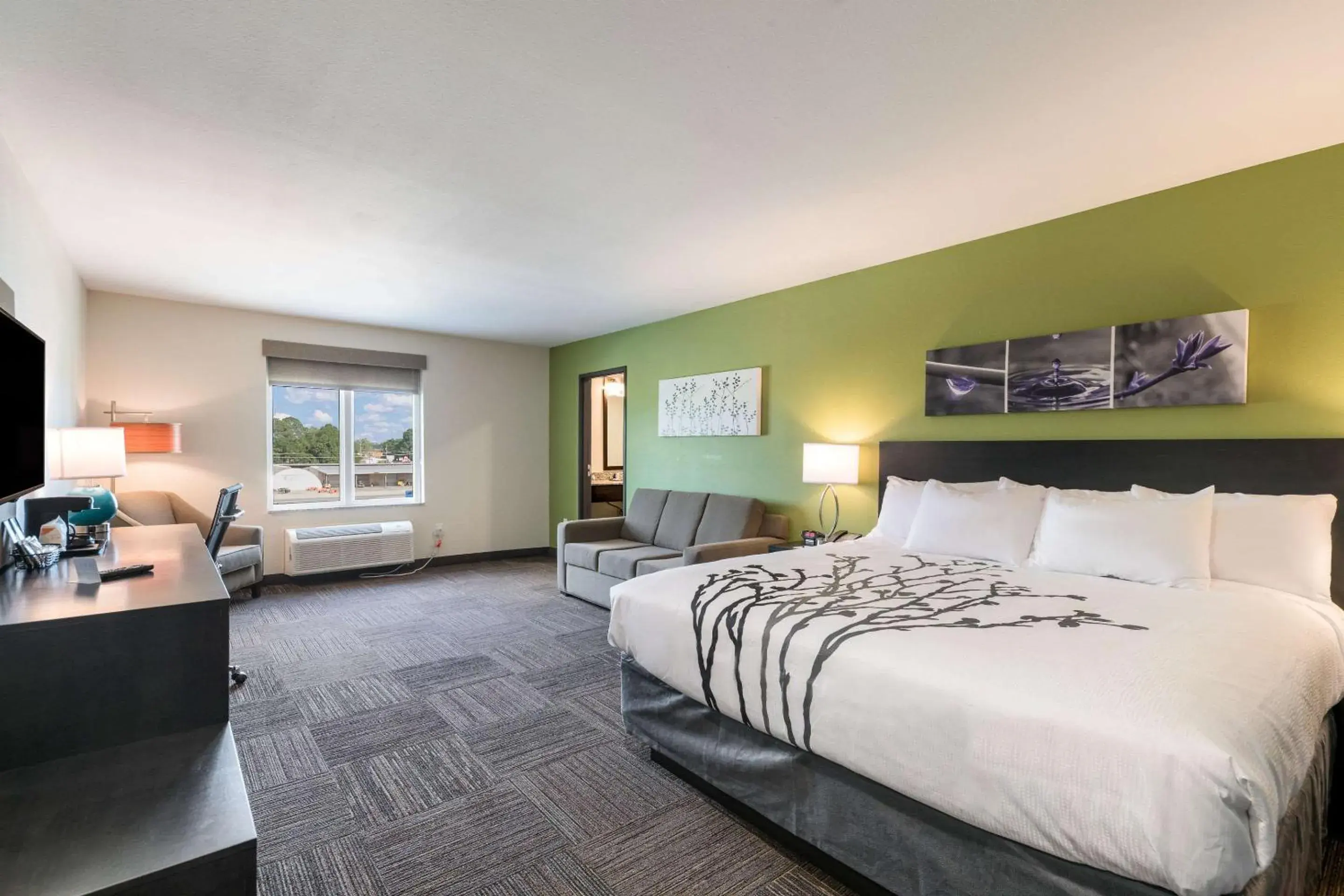 King Suite with Sofa Bed - Non-Smoking in Sleep Inn Baxley King Suite with Sofa Bed - Non-Smoking in Sleep Inn Baxley