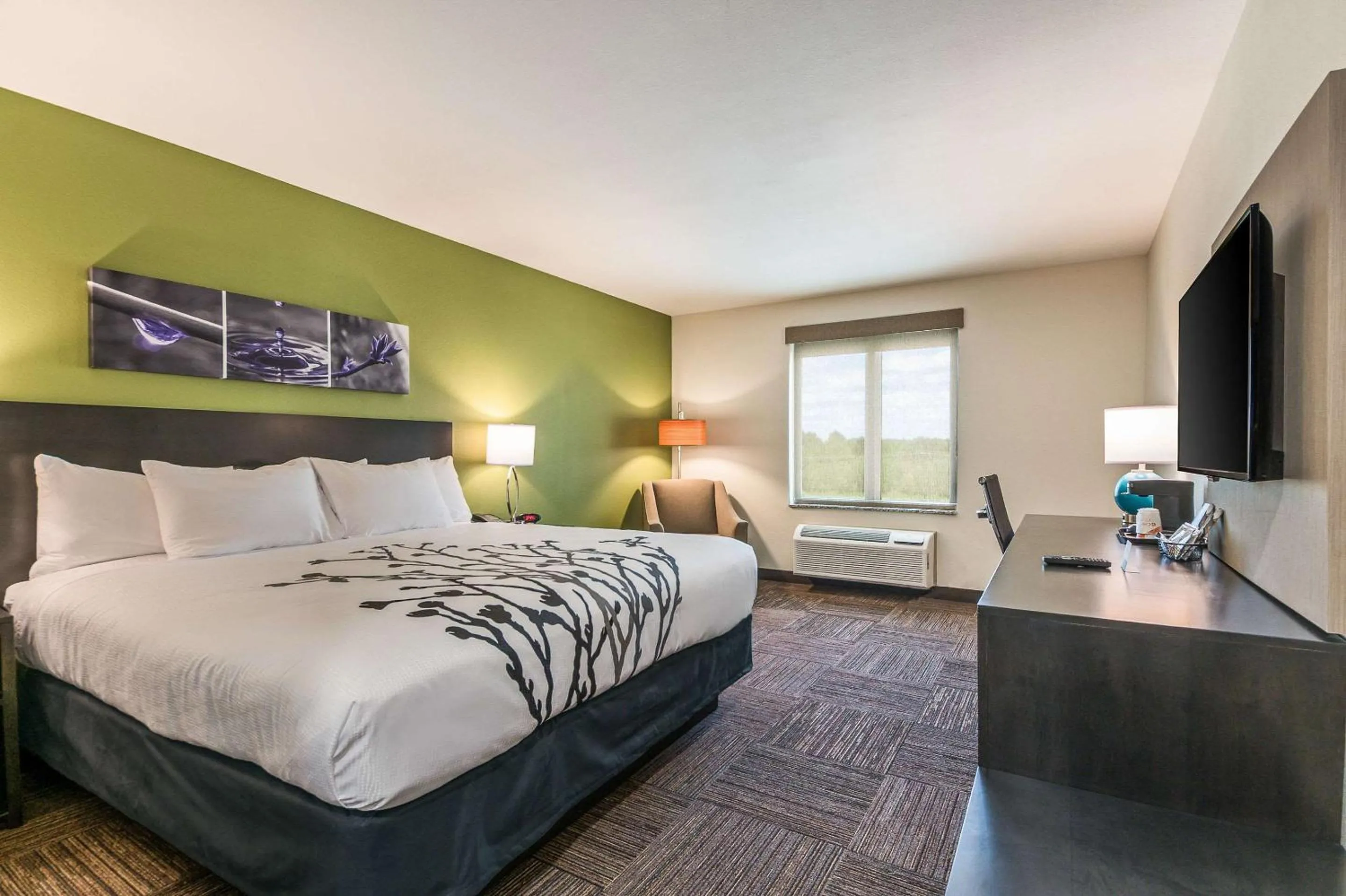 Photo of the whole room, Bed in Sleep Inn Baxley