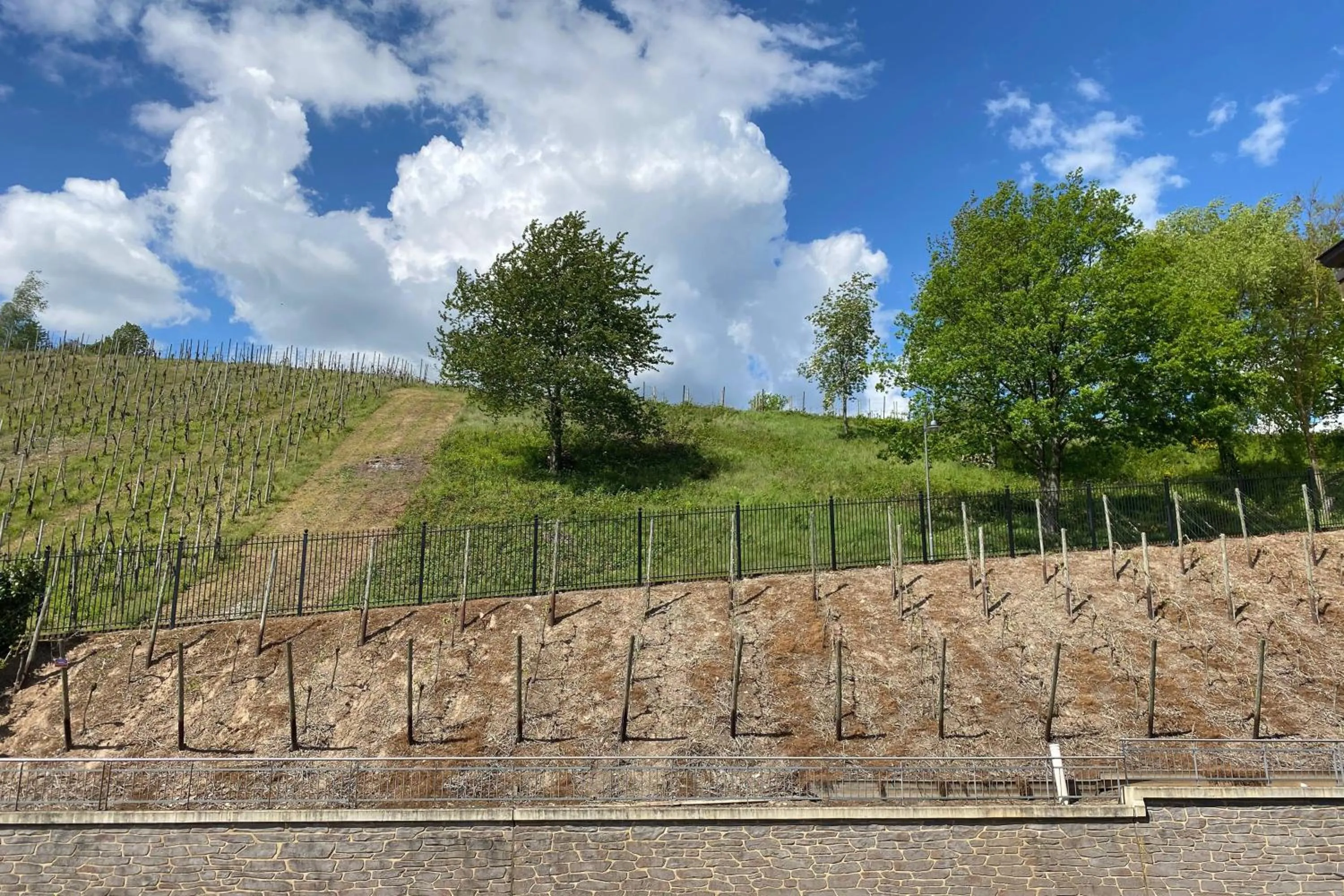 Photo of the whole room in Schloss Lieser, Autograph Collection