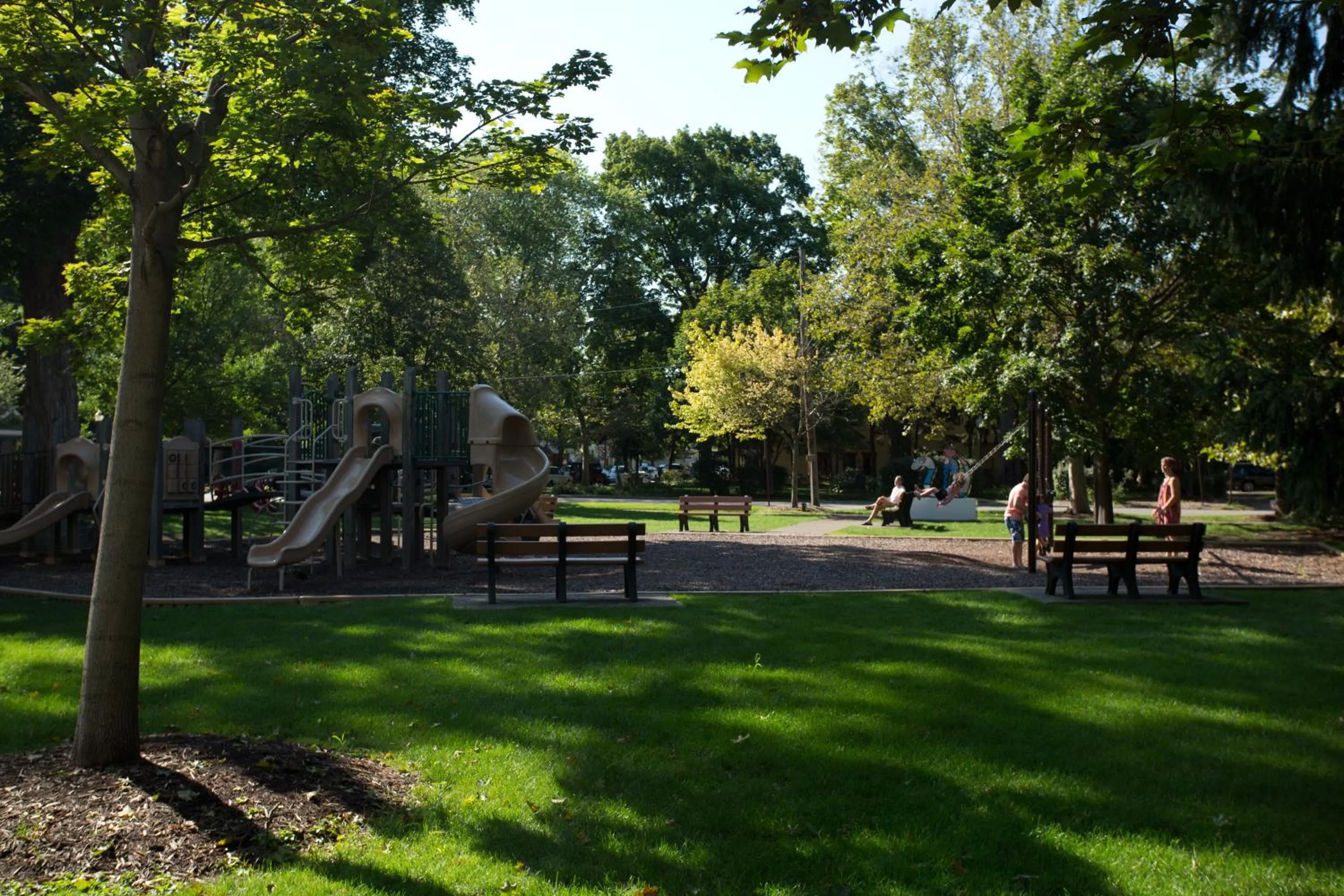 Activities in Maplewood Hotel