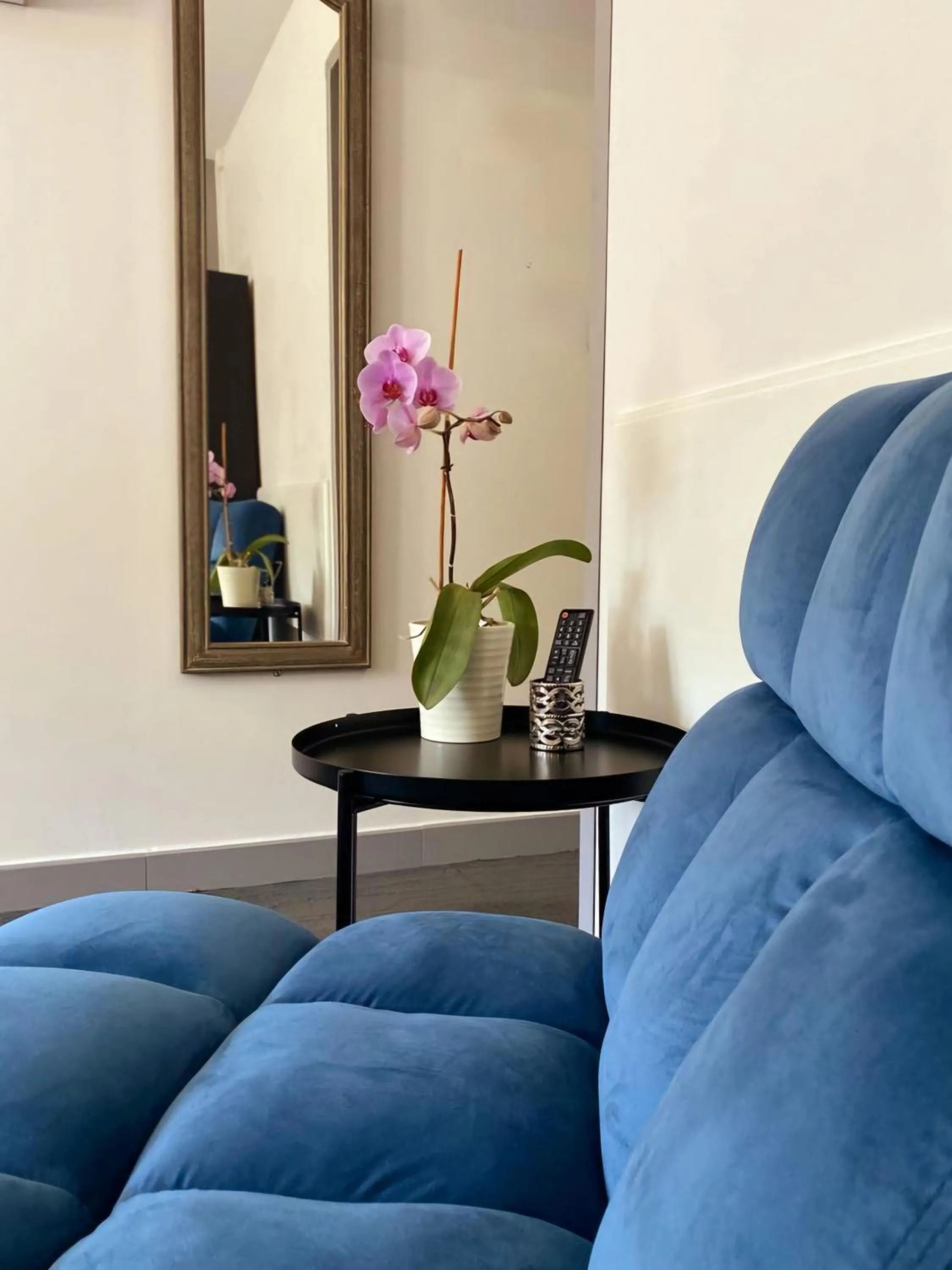 TV and multimedia in Brit Hotel Acacias