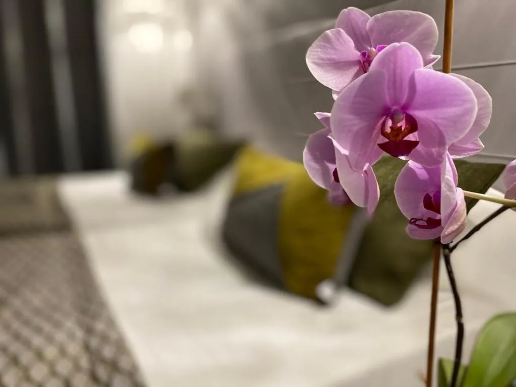 Decorative detail, Bed in Brit Hotel Acacias