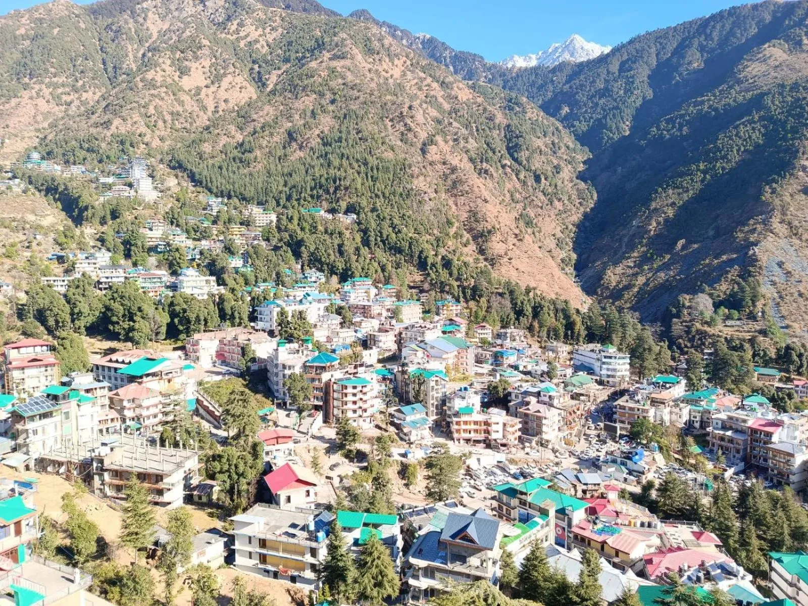 View (from property/room) in White Water Inn Mcleodganj