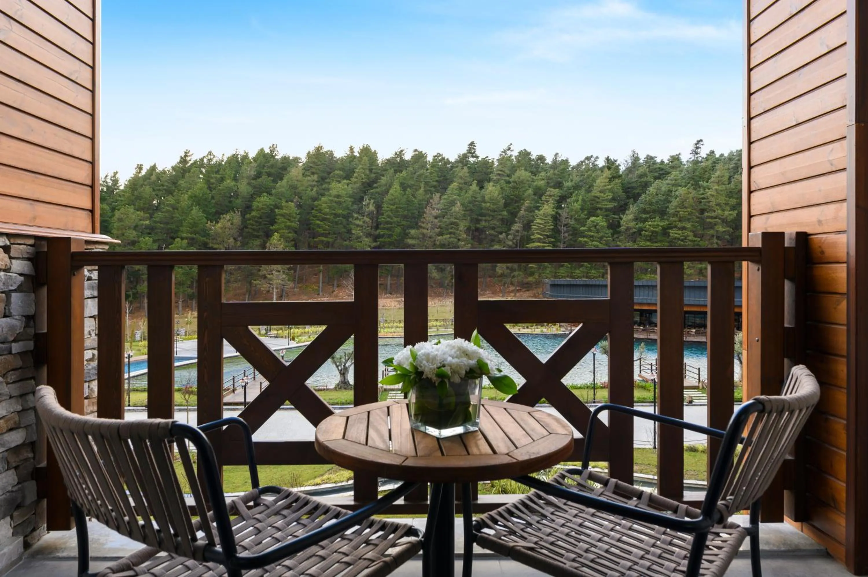 View (from property/room) in Elite World Grand Sapanca