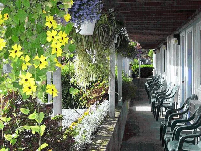 Garden in Sea Whale Motel