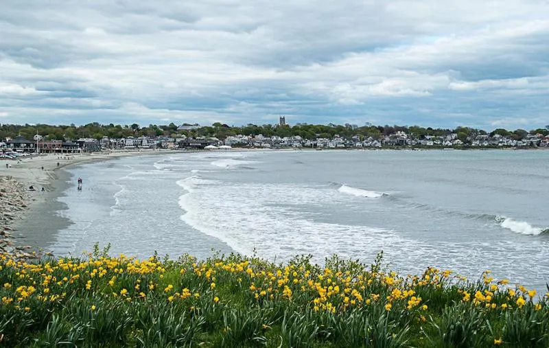 Beach in Sea Whale Motel