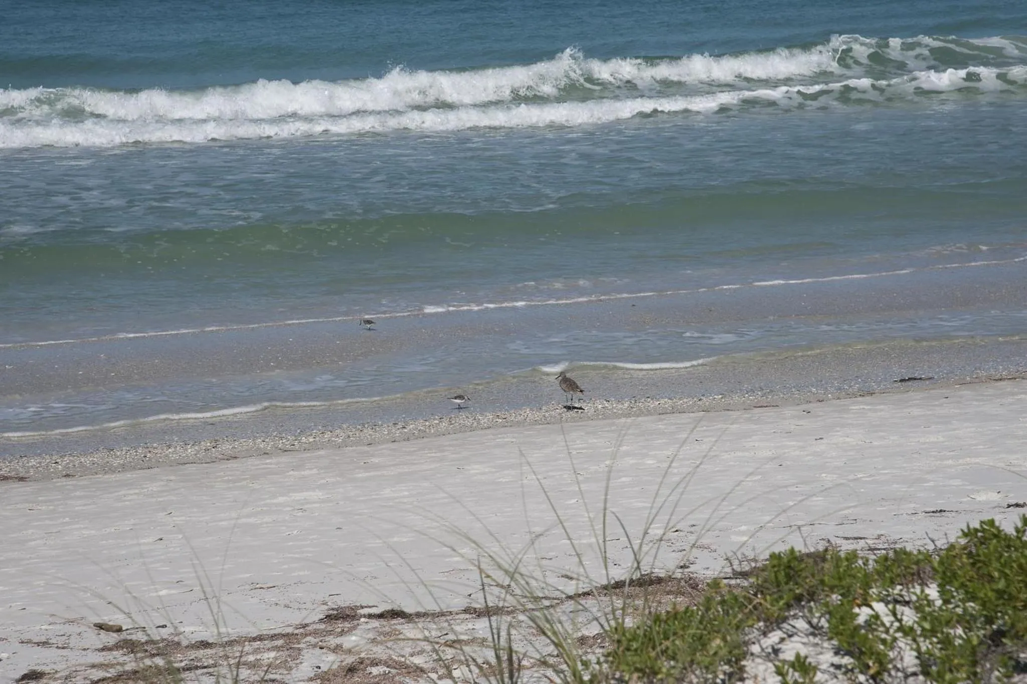 Beach in Bungalow Beach Resort