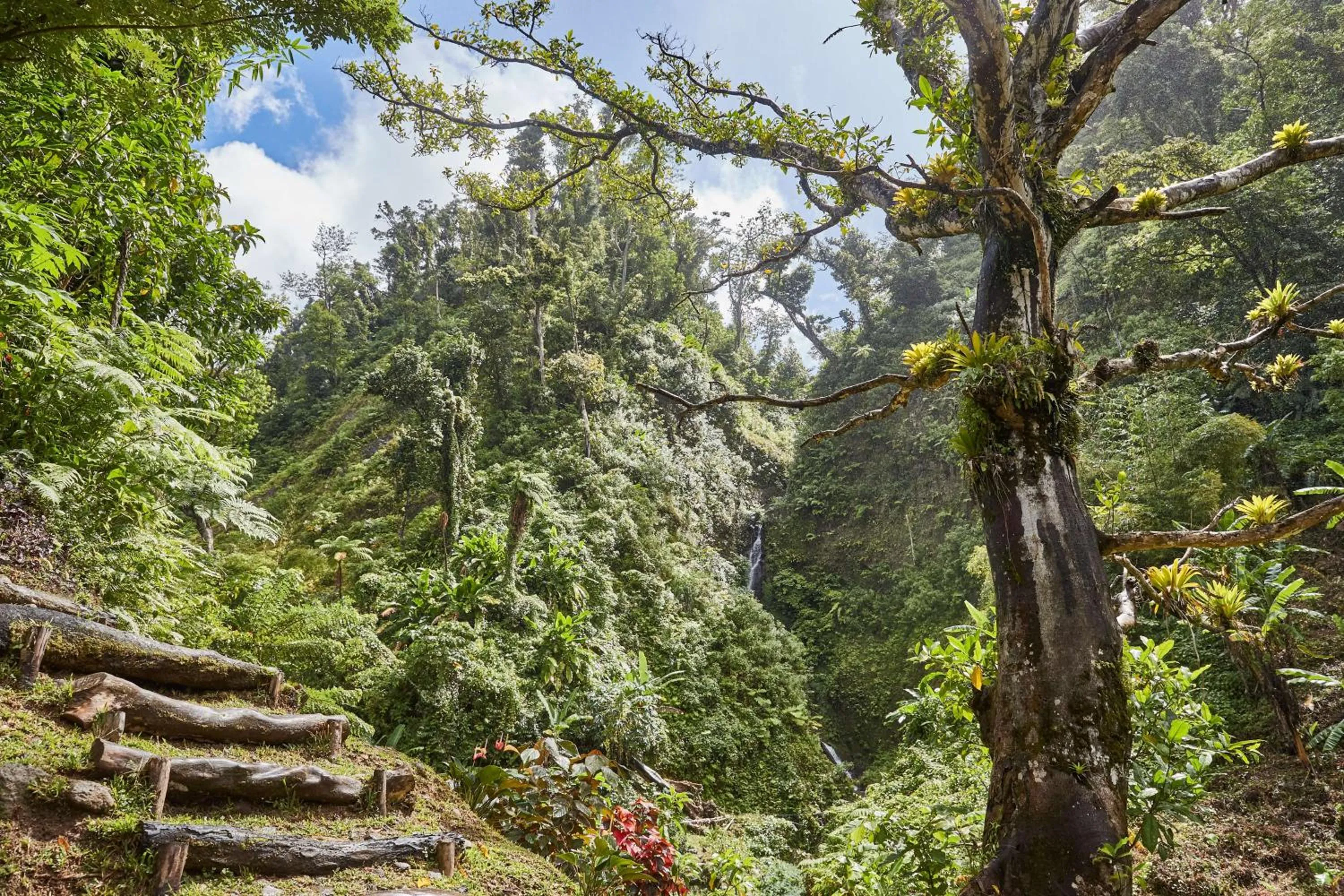 Nearby landmark in InterContinental Dominica Cabrits Resort & Spa by IHG
