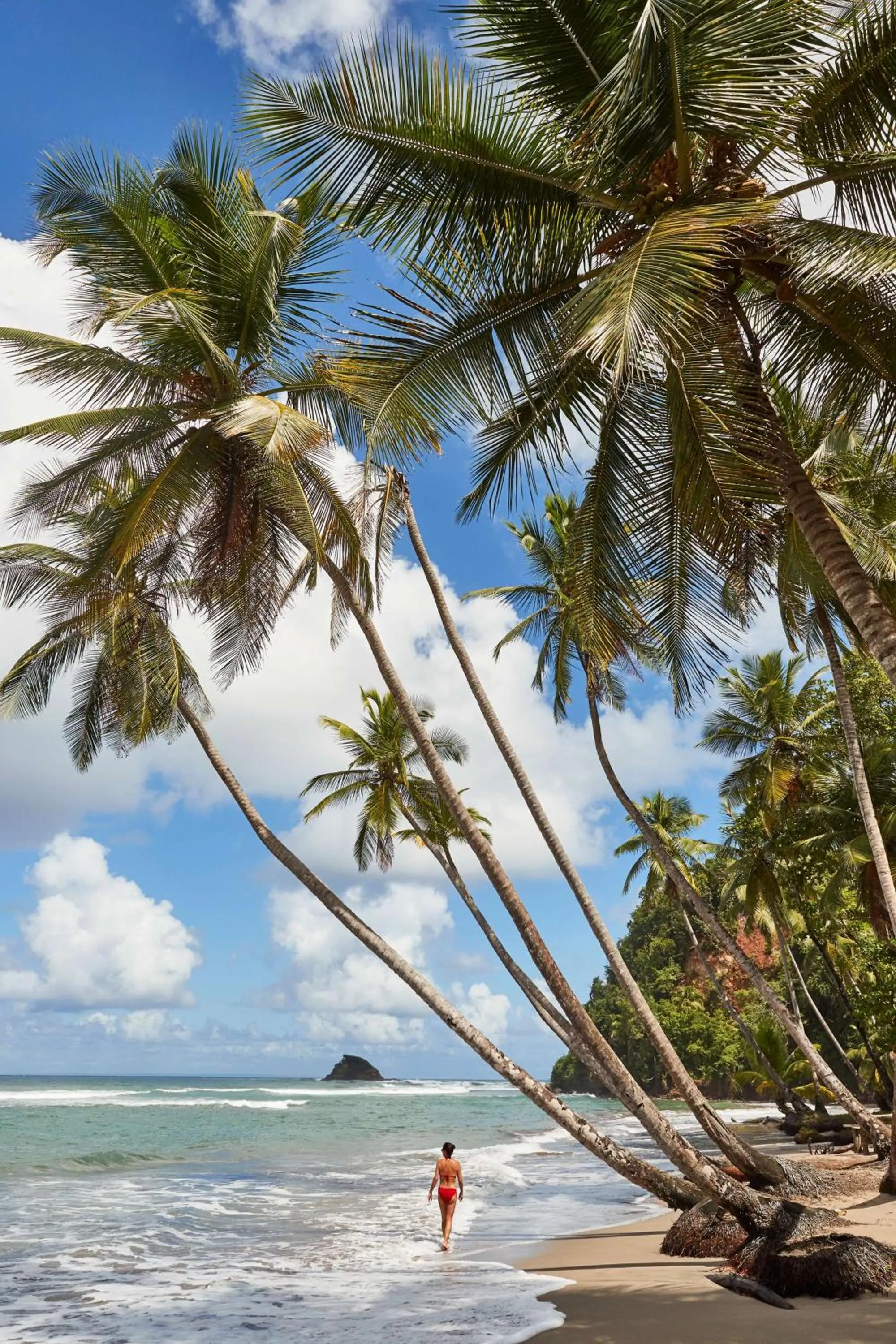 Beach in InterContinental Dominica Cabrits Resort & Spa by IHG