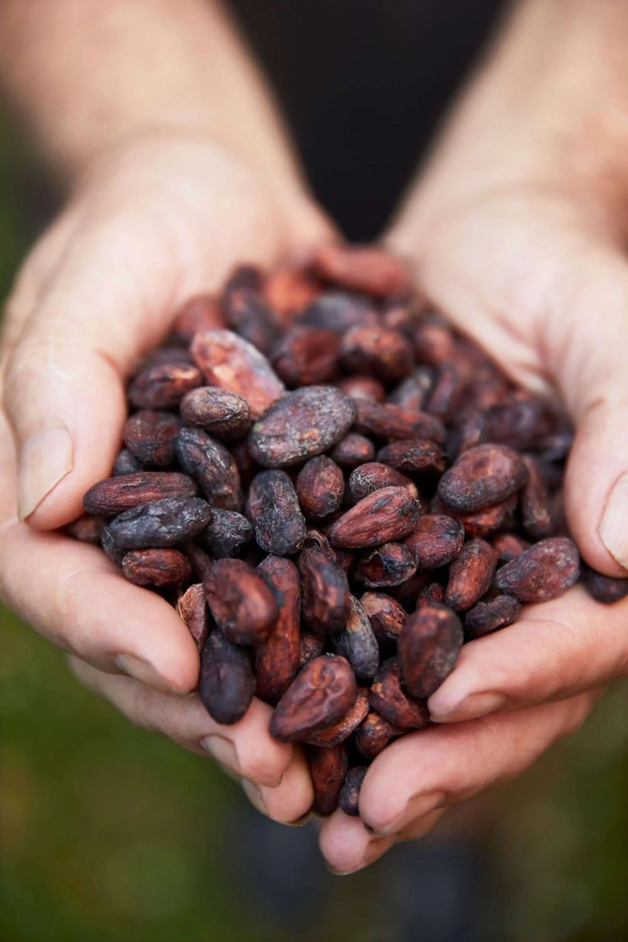 Nearby landmark in InterContinental Dominica Cabrits Resort & Spa by IHG