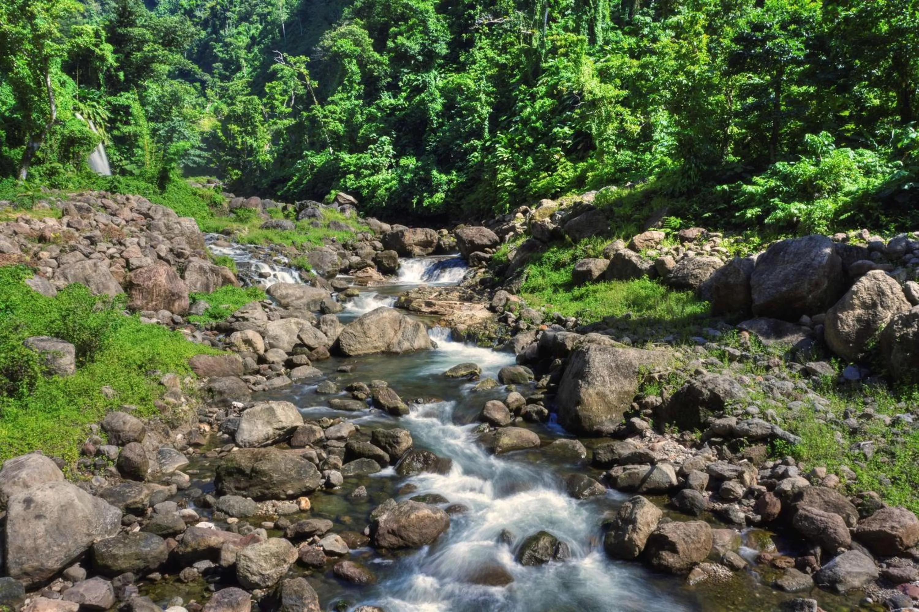 Other in InterContinental Dominica Cabrits Resort & Spa by IHG