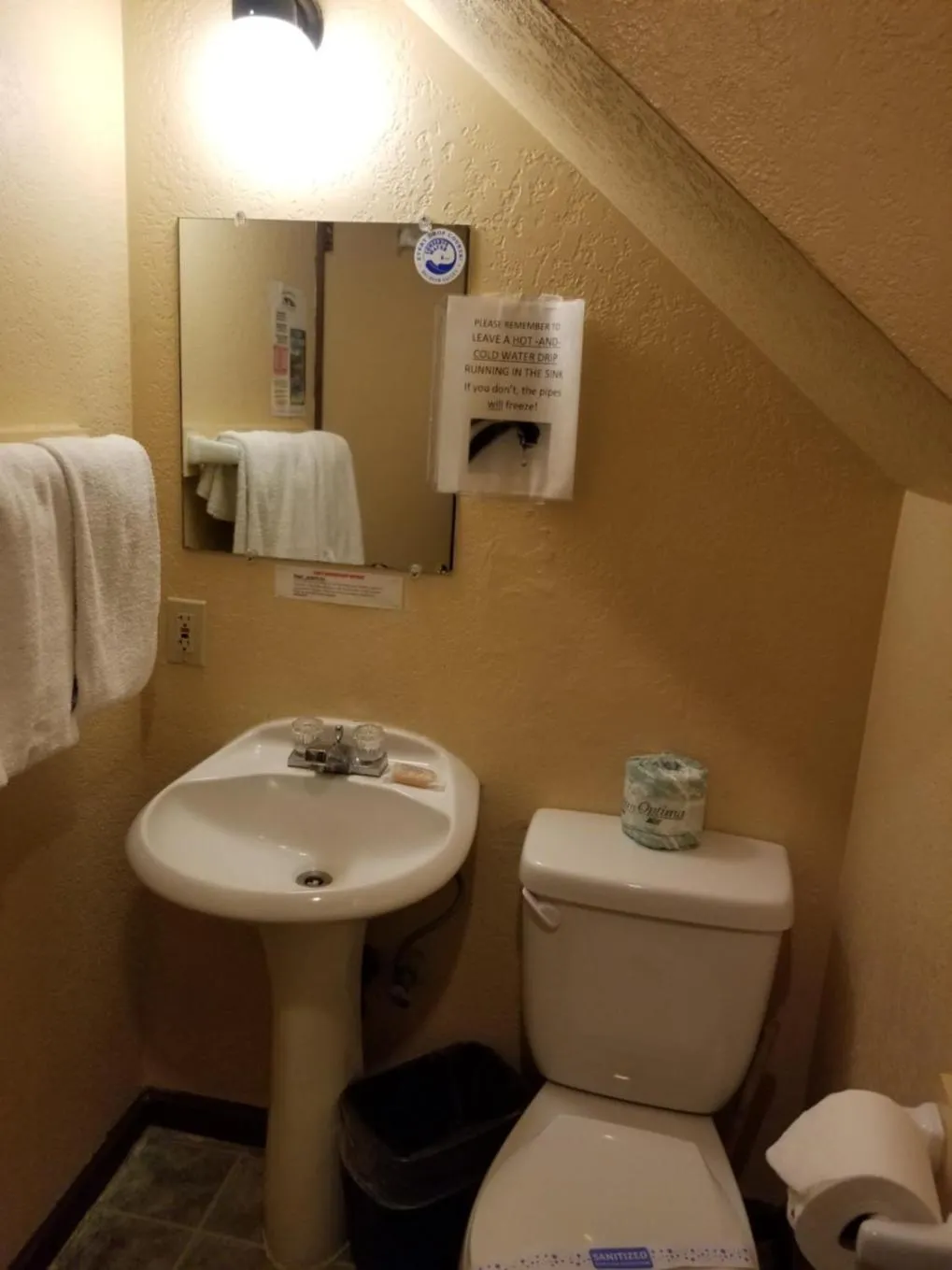 Toilet in Timberline Lodge
