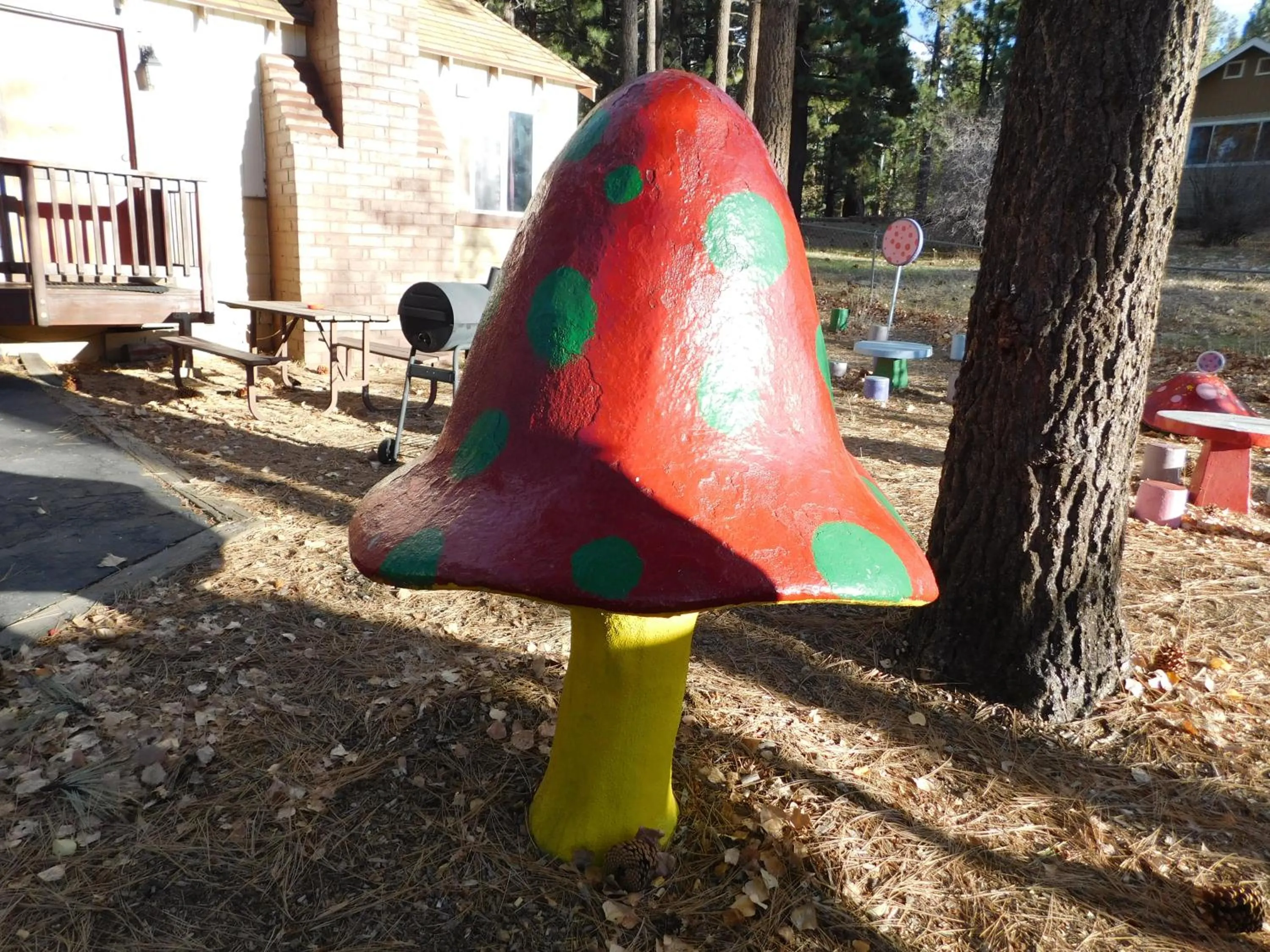 Children play ground in Timberline Lodge
