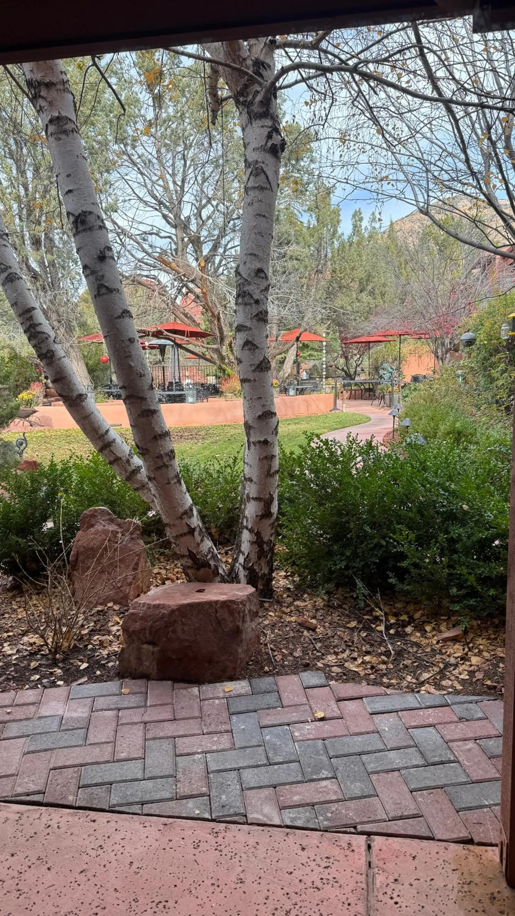 View (from property/room) in Casa Sedona Inn