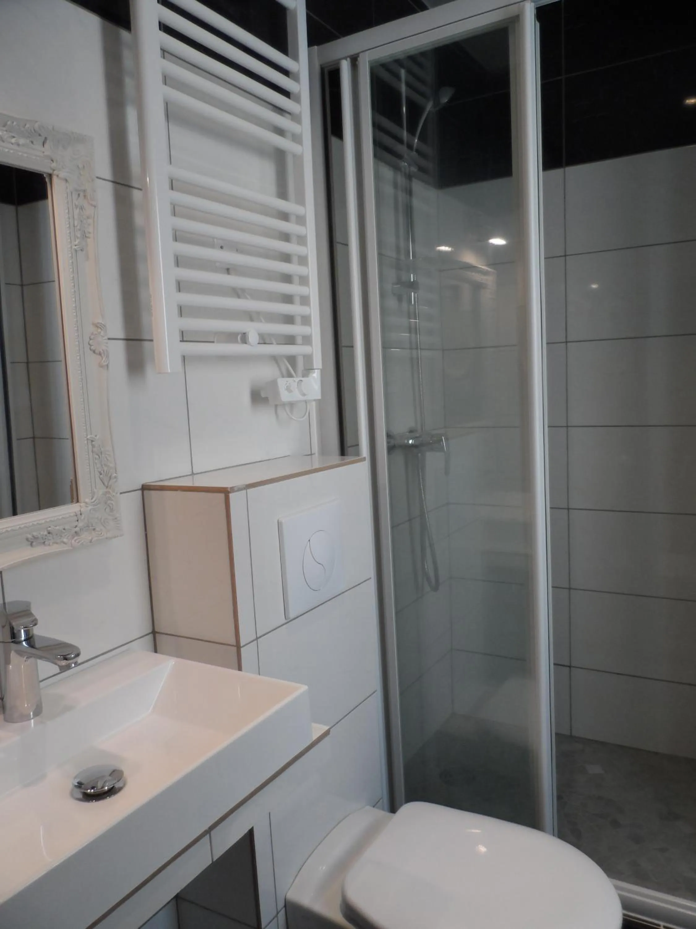 Bathroom in Prince Monceau