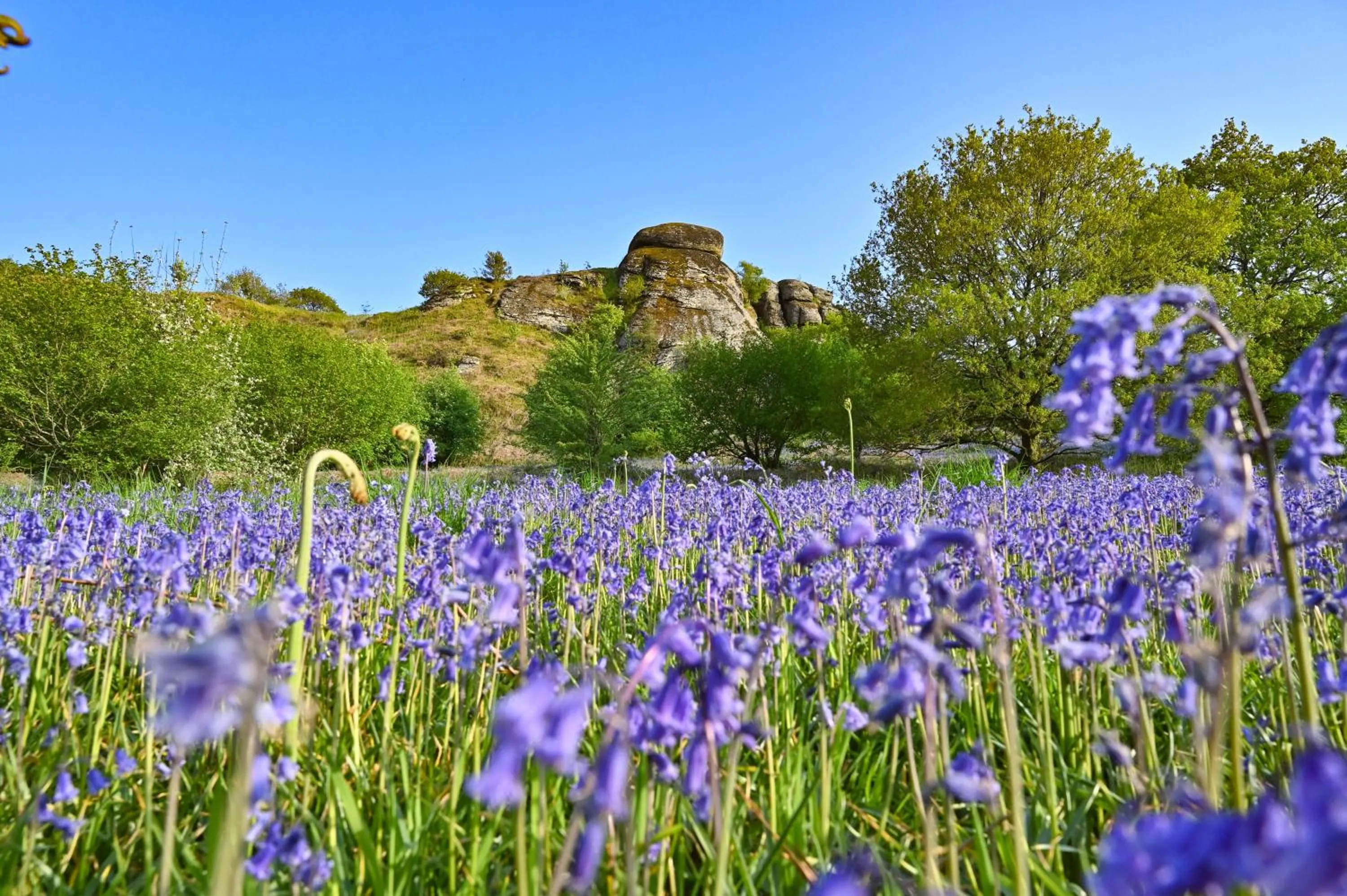 Nearby landmark in Wray Valley