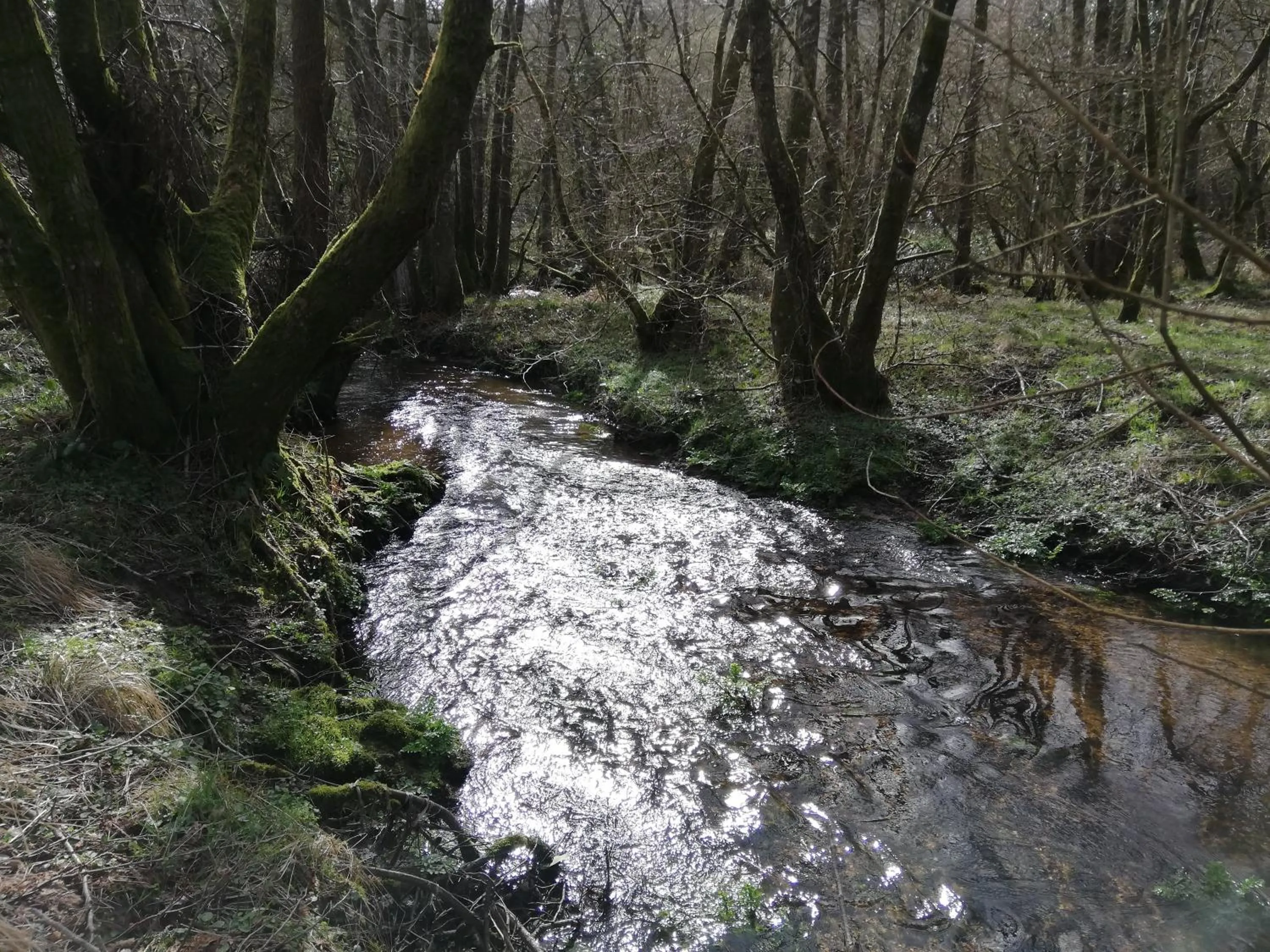 Natural landscape in Wray Valley