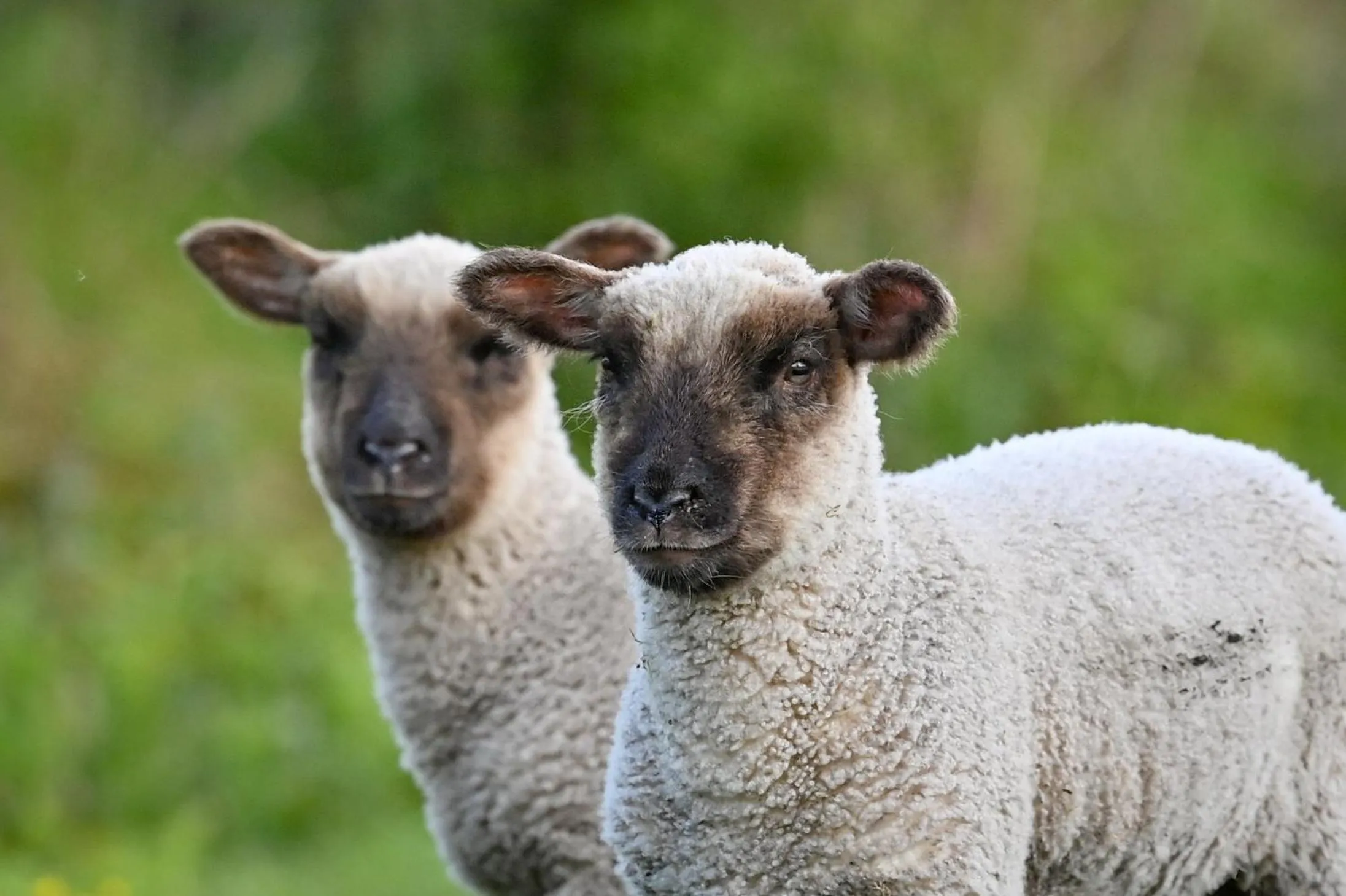 Off site in Wray Valley