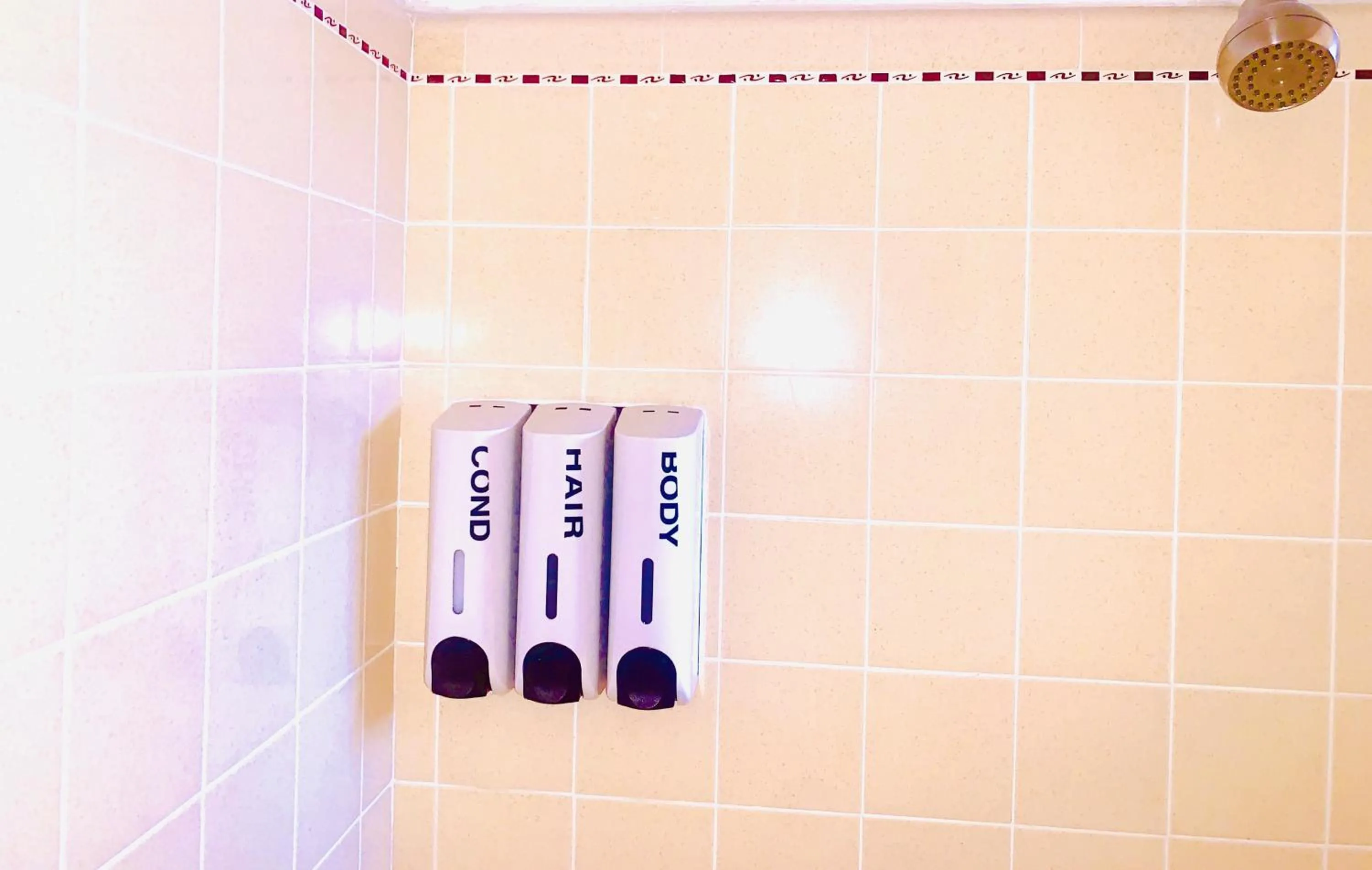 Shower in Dragonfly Motor Lodge