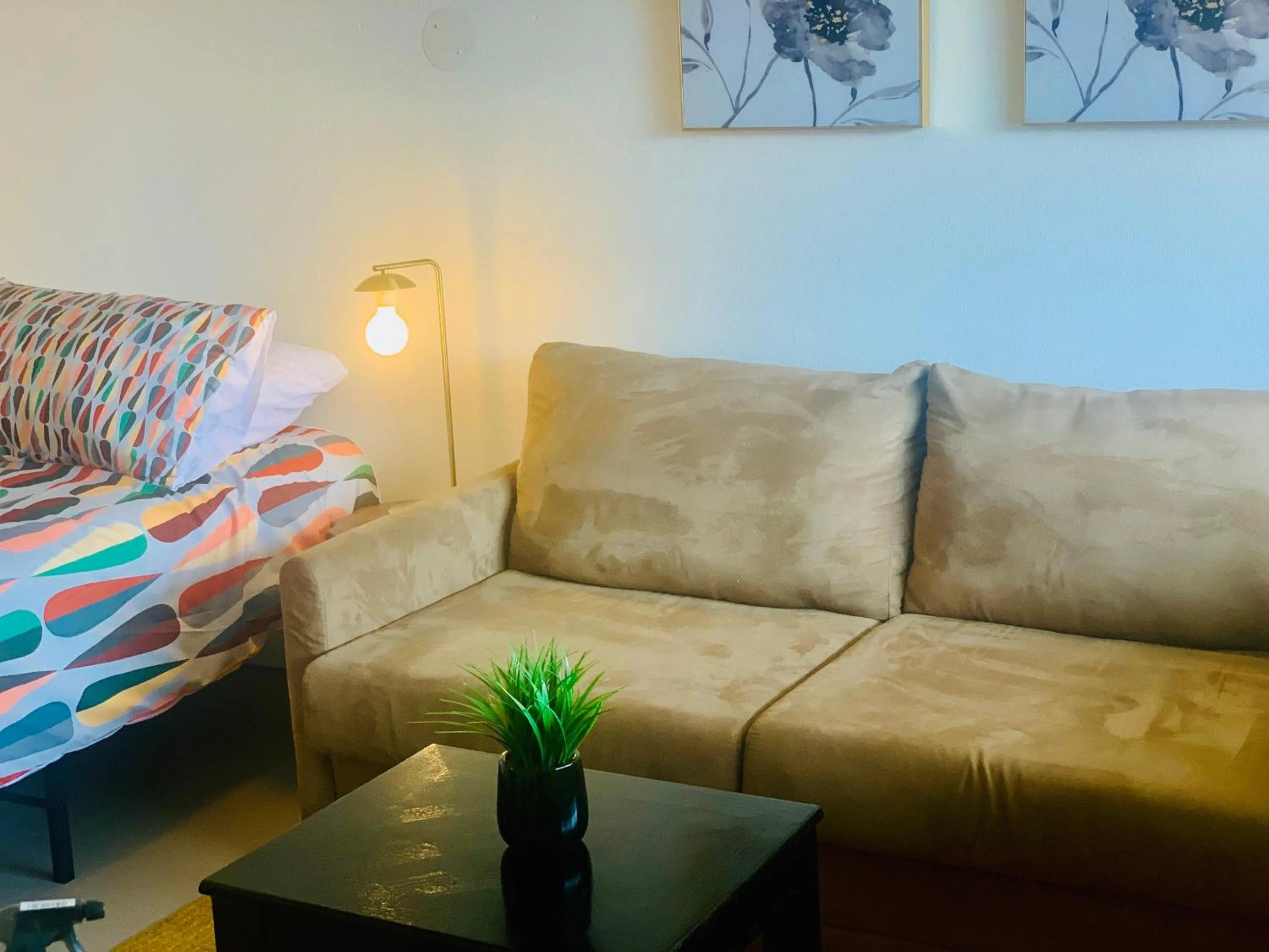 Living room in Dragonfly Motor Lodge