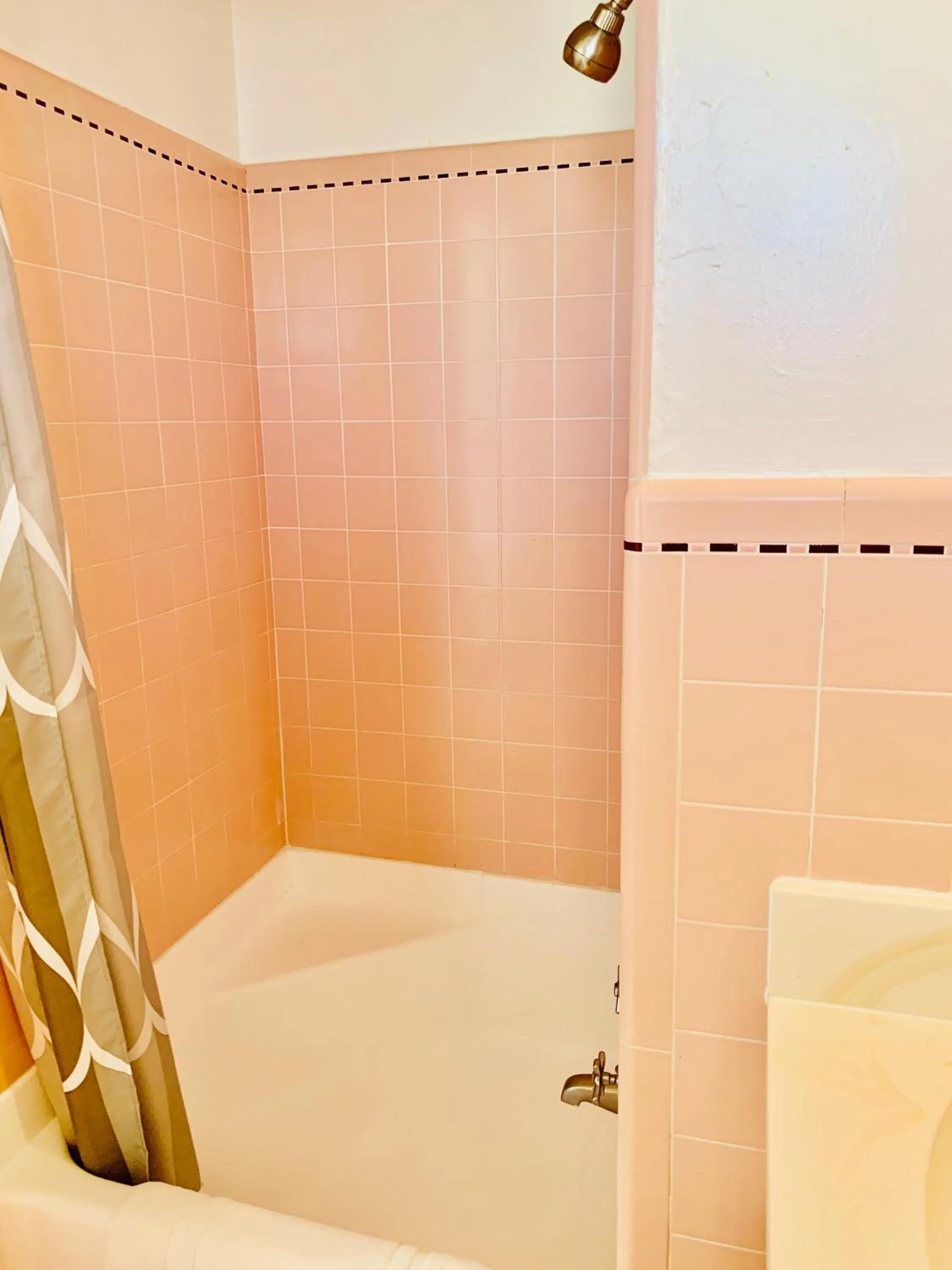 Shower in Dragonfly Motor Lodge