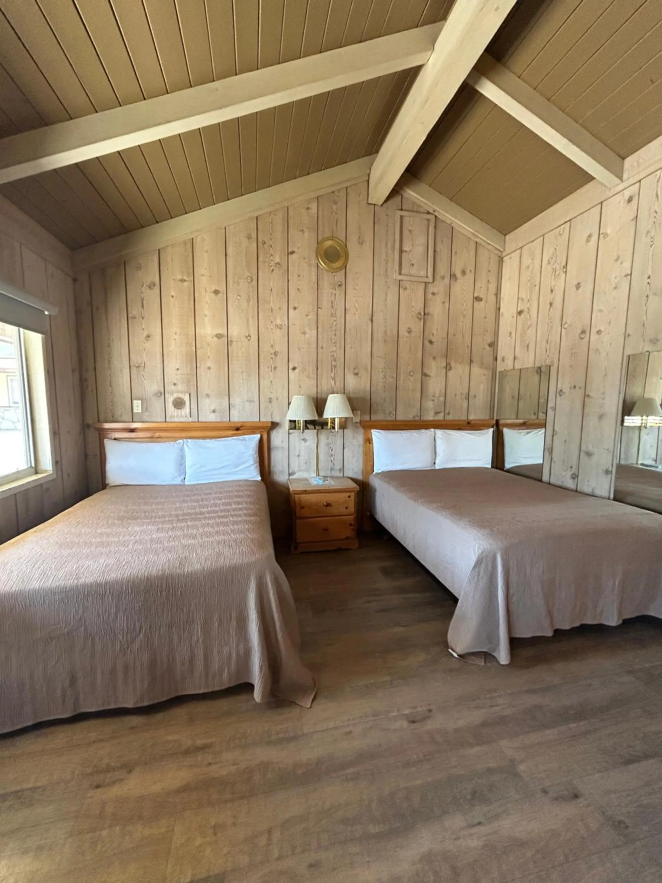 Bed in Bristlecone Motel