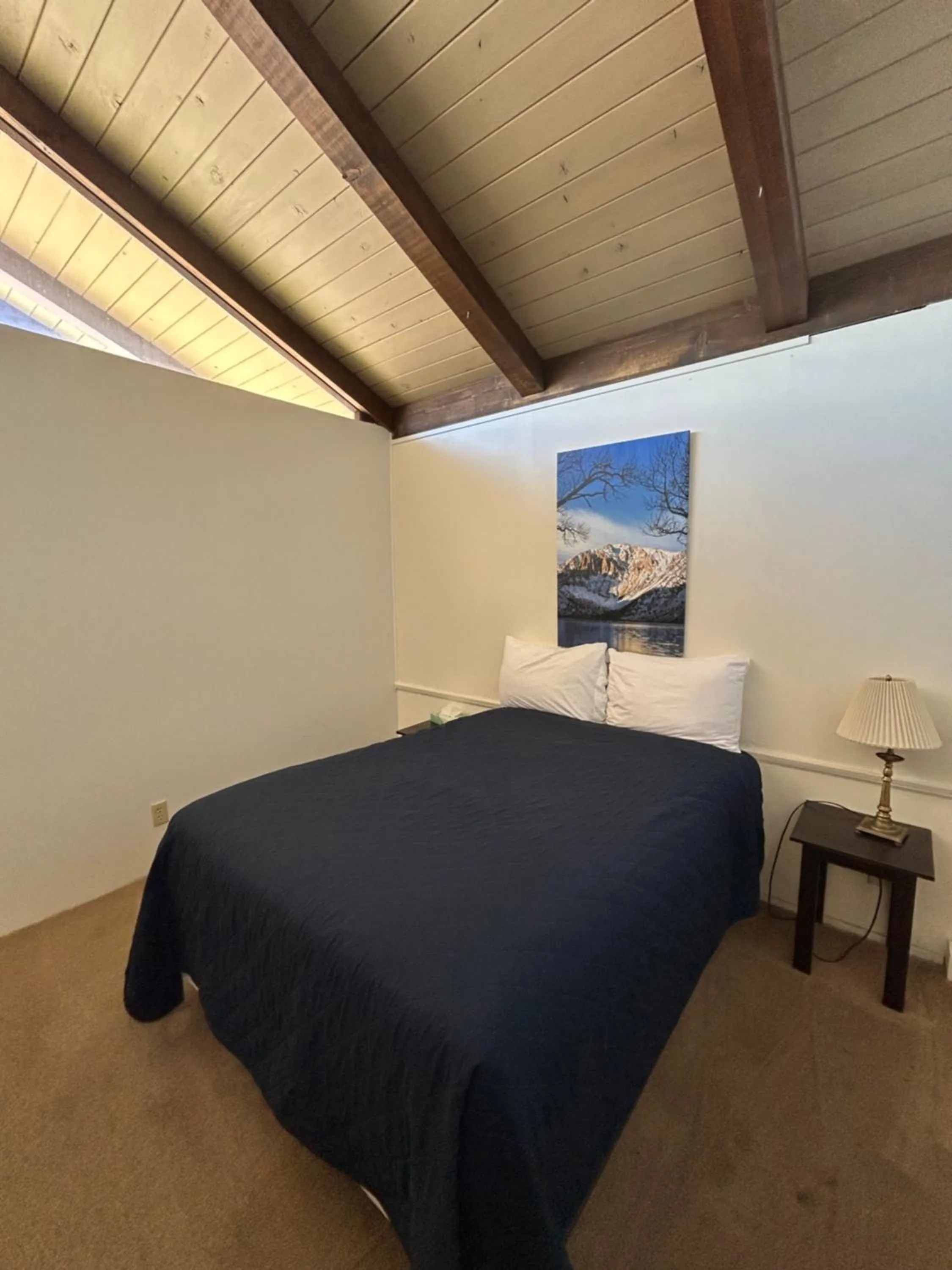 Bed in Bristlecone Motel