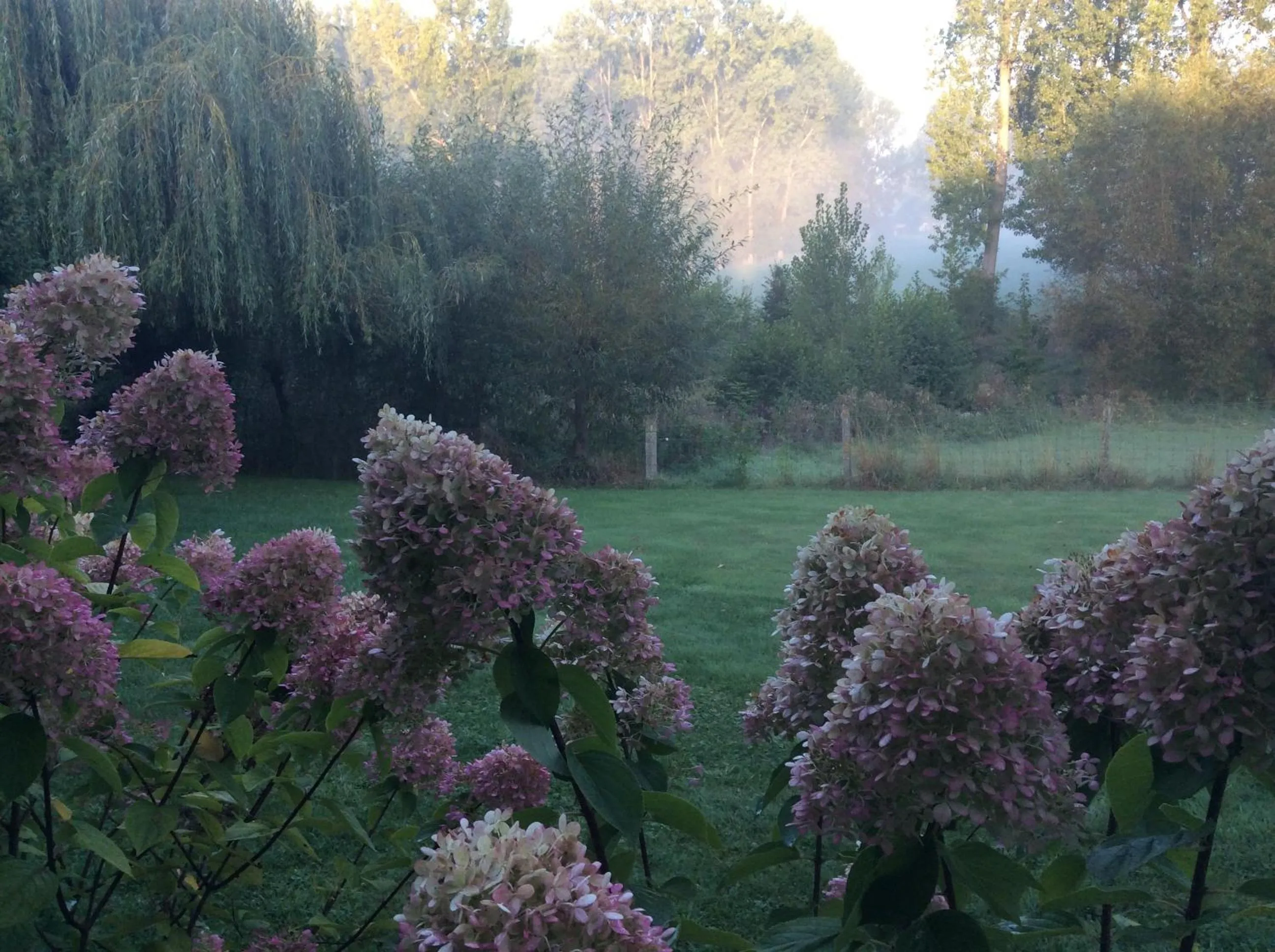 Garden in Poortbossen