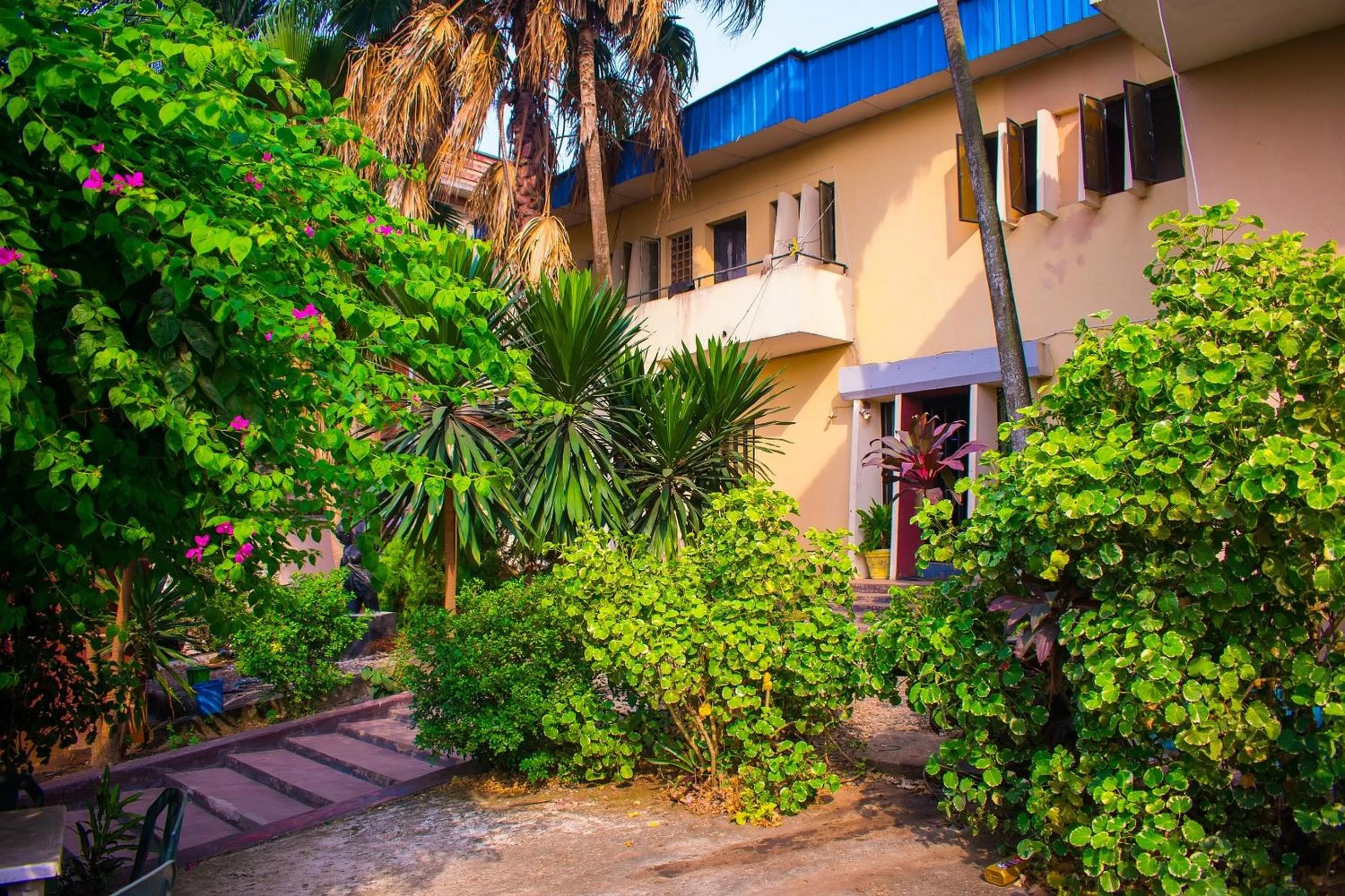 Property building in Organico House Hotel