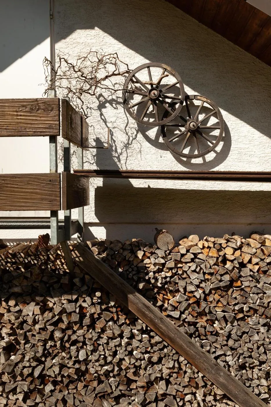 Garden in Hotel Petra